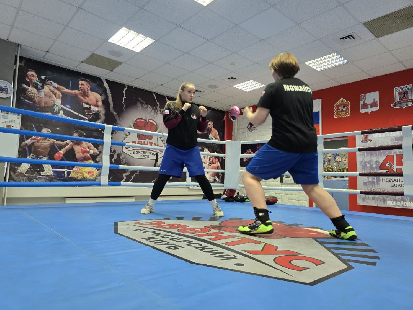 можайск, можайский муниципальный округ, подмосковье, спорт, бокс, спорсмены, победа, первенство россии по боксу,сборная команда Московской области,