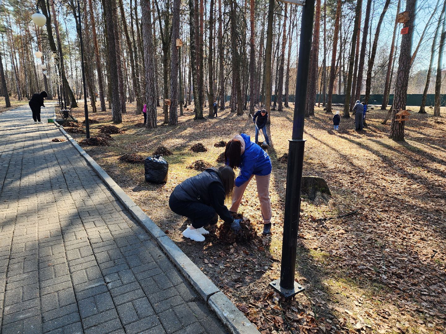 субботник,шатура, шатурский округ, уборка территорий,