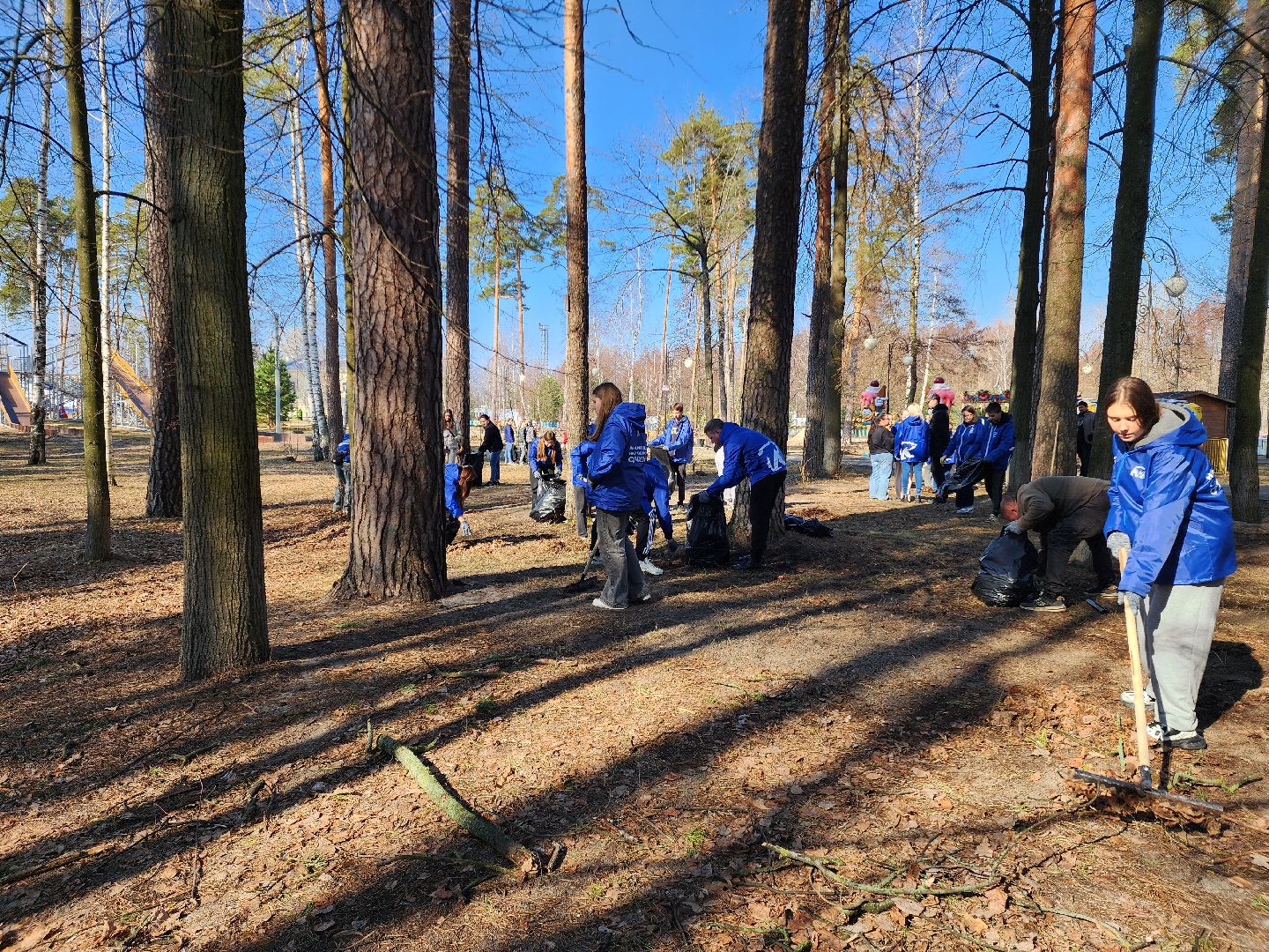 субботник,шатура, шатурский округ, уборка территорий,