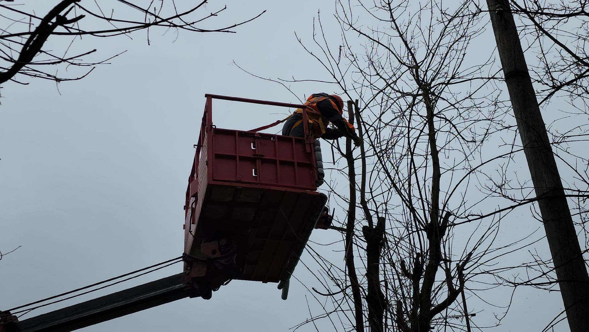 серпухов, подмосковье, ржд, спил деревьев,
