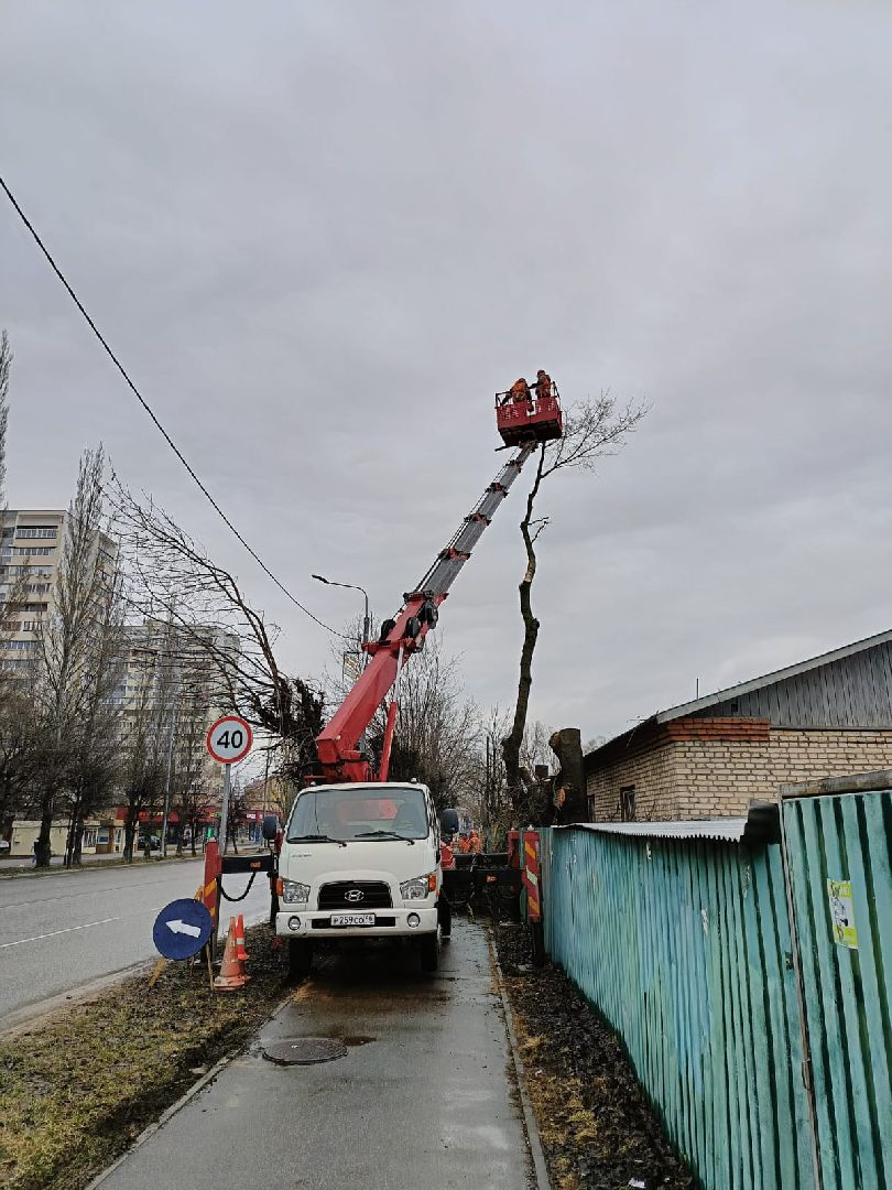 серпухов, подмосковье, ржд, спил деревьев,