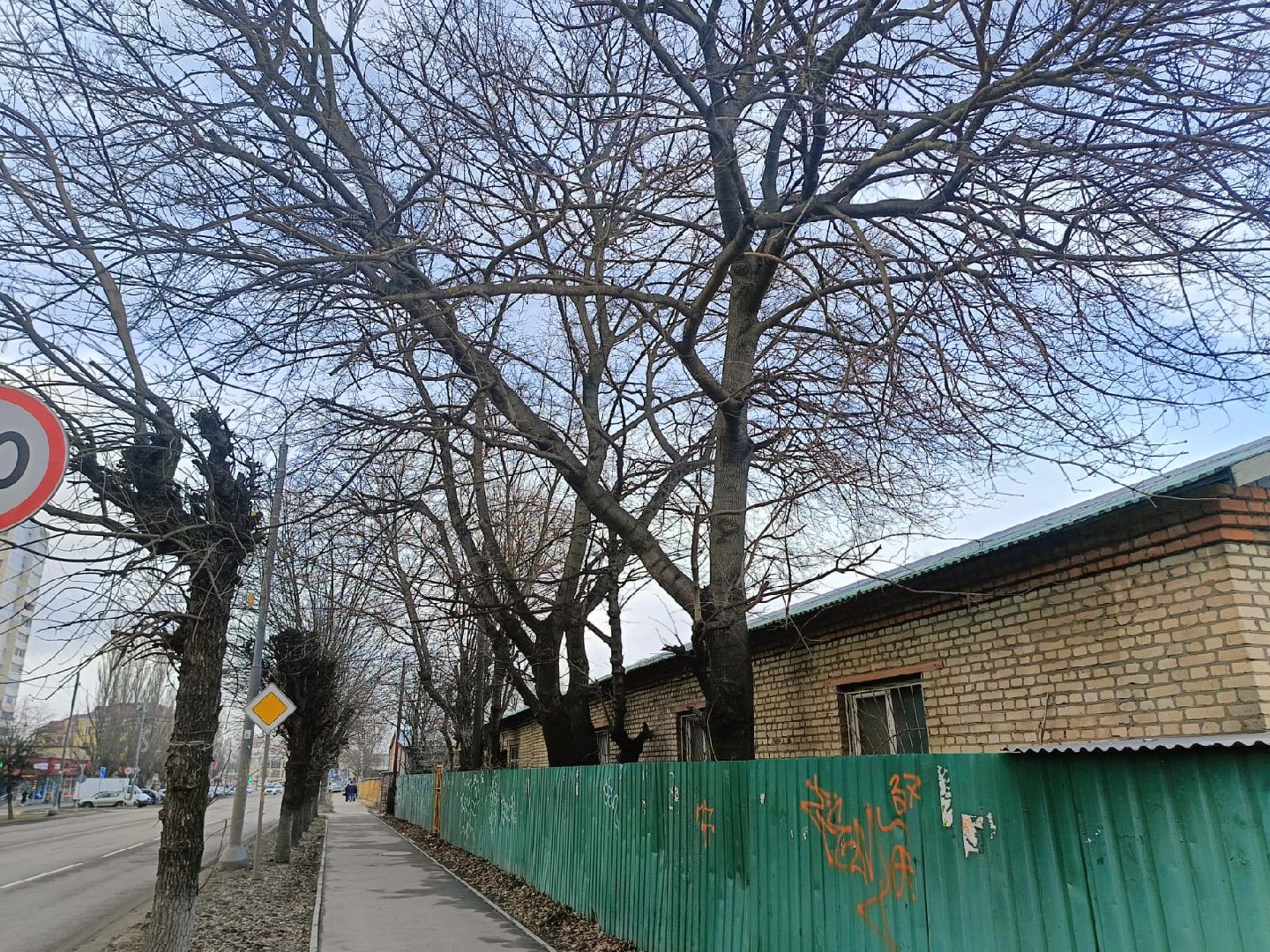 серпухов, подмосковье, ржд, спил деревьев,