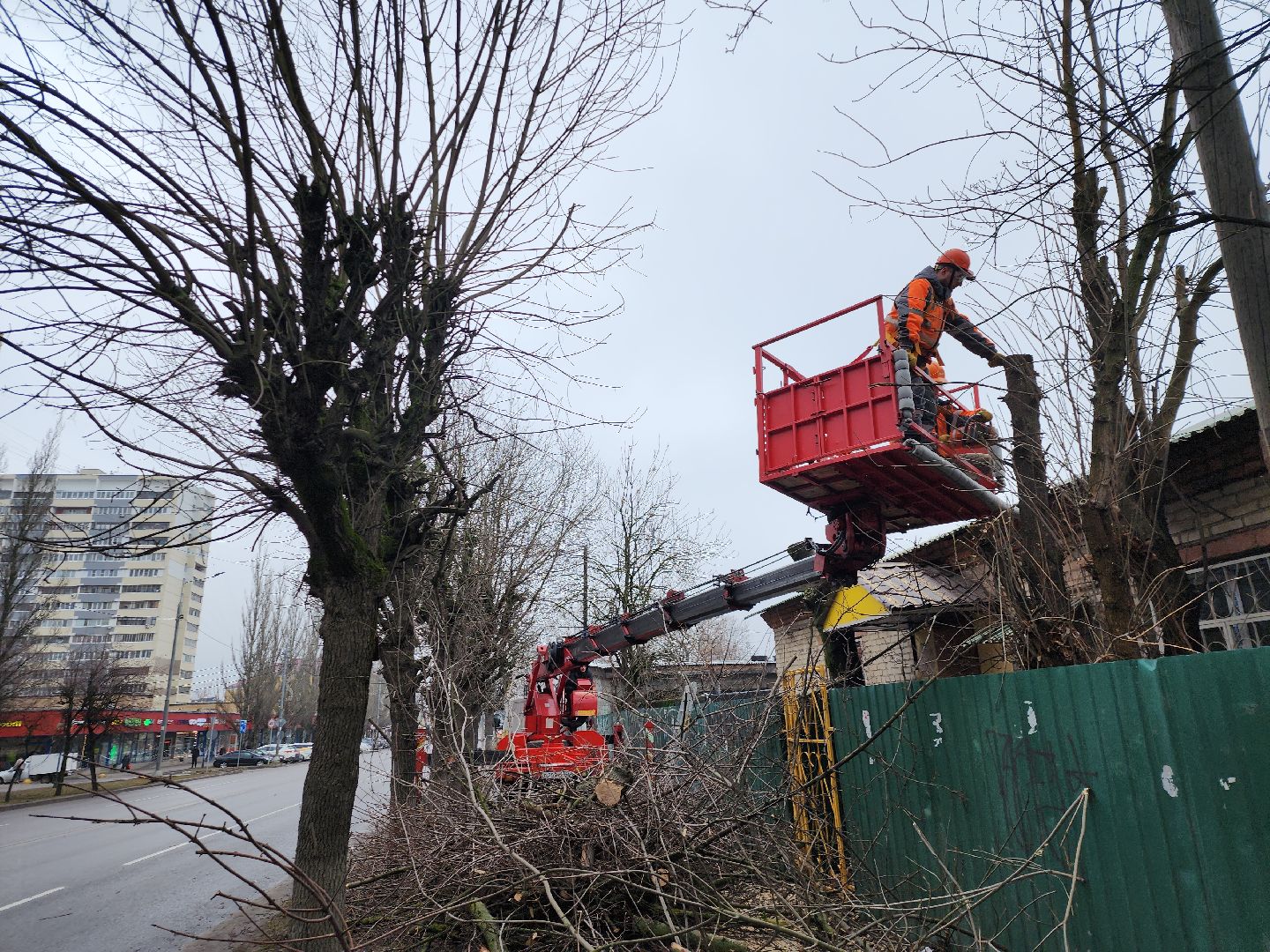 серпухов, подмосковье, ржд, спил деревьев,