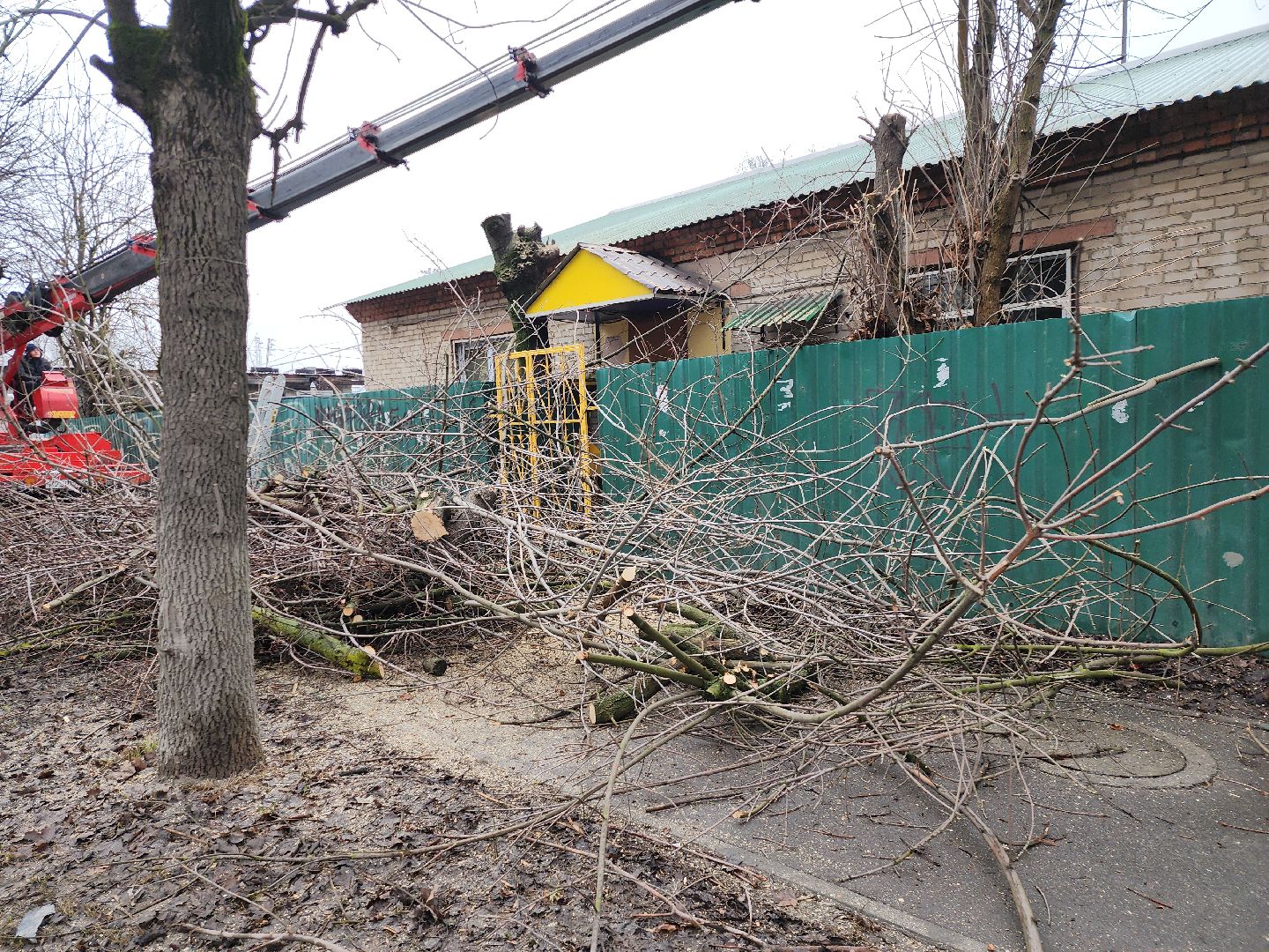 серпухов, подмосковье, ржд, спил деревьев,