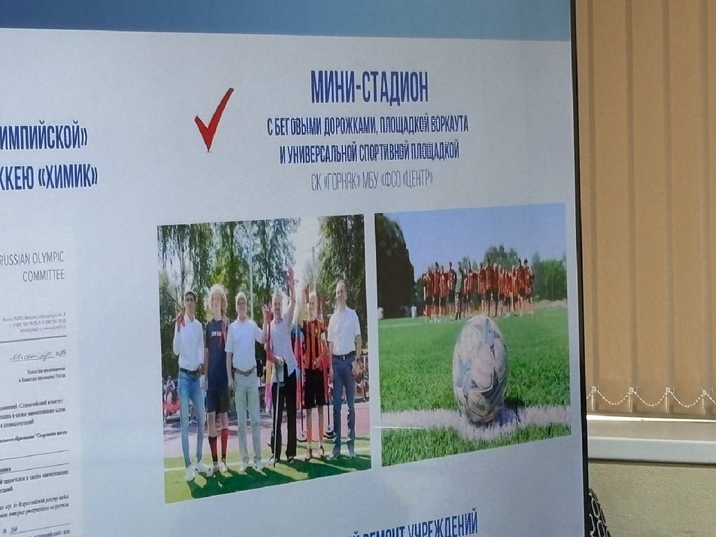 воскресенск, общество, отчет главы,