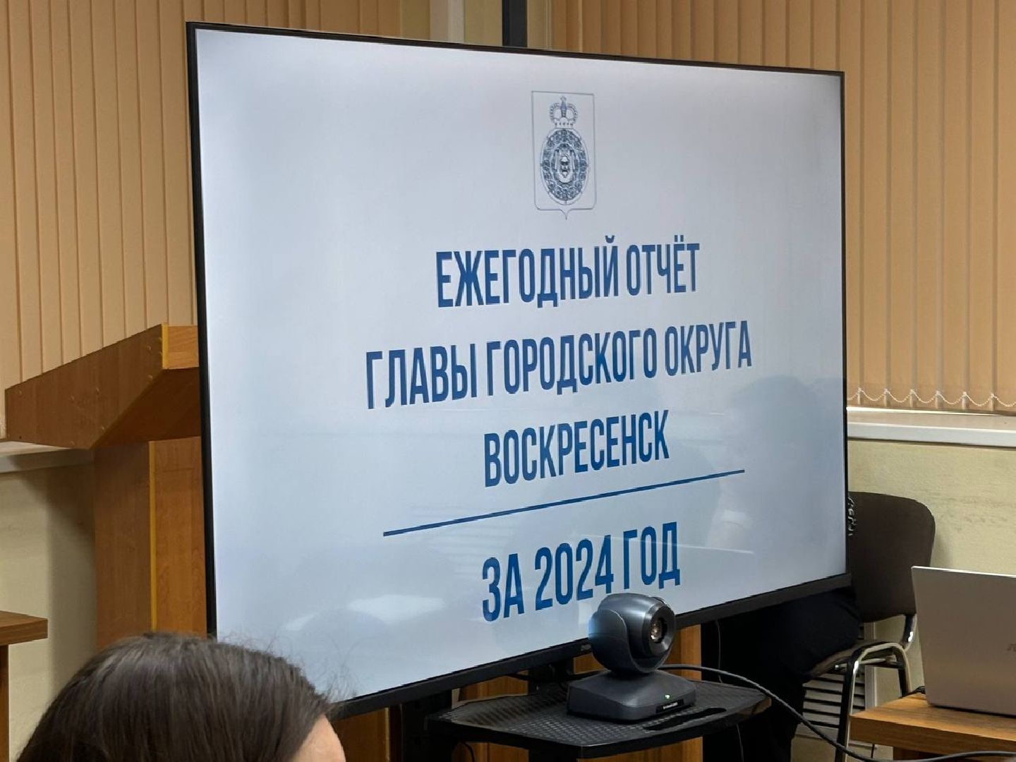 воскресенск, общество, отчет главы,