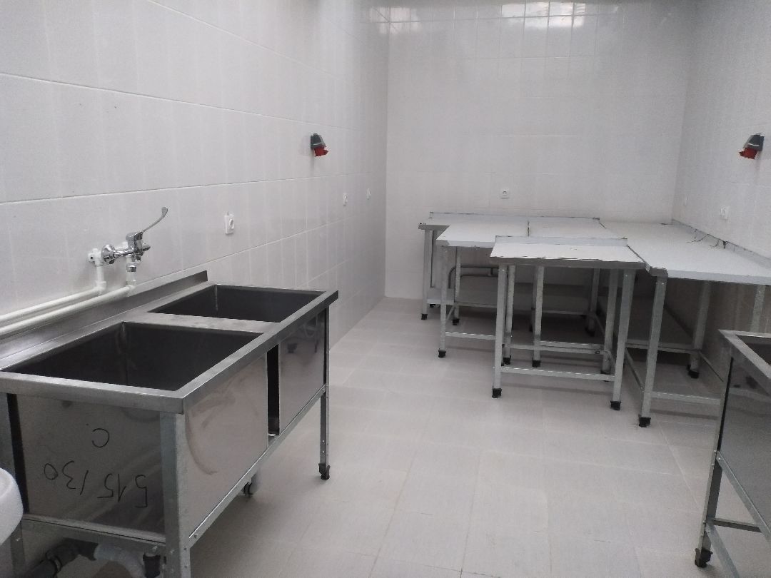 Лосино-Петровский, общество