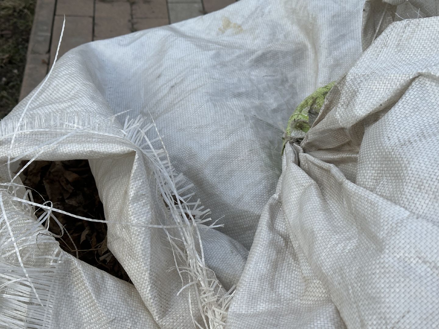 Парк, Уборка, Весна, люберцы,