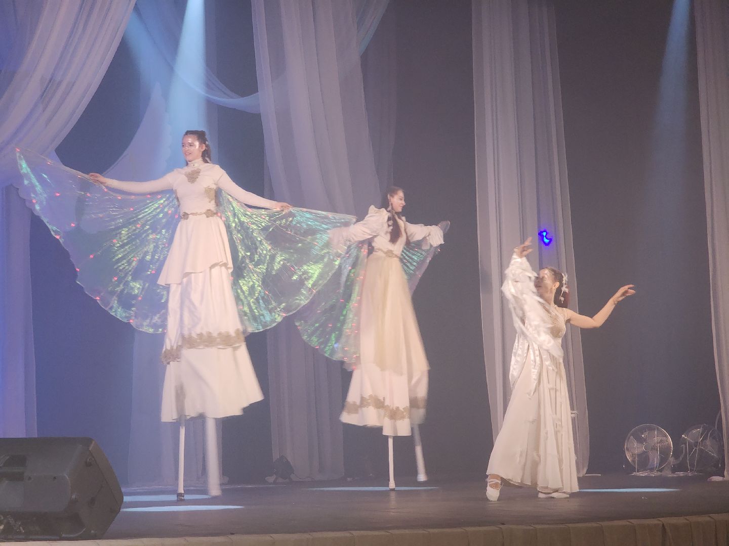 орехово зуево, концерт, шоу,