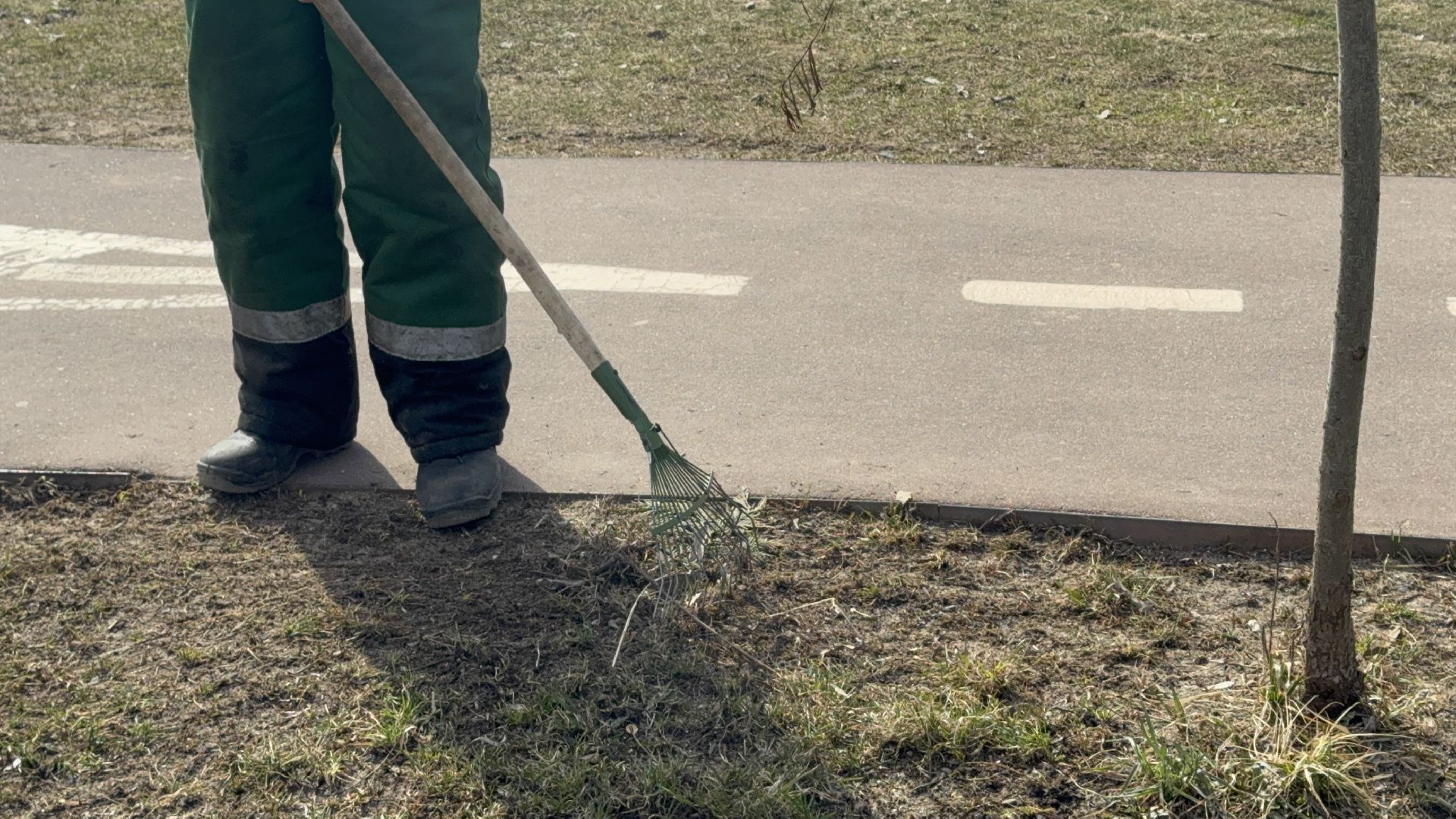 солнечногорск, городской парк, уборка територии, жители, опиловка деревьев,