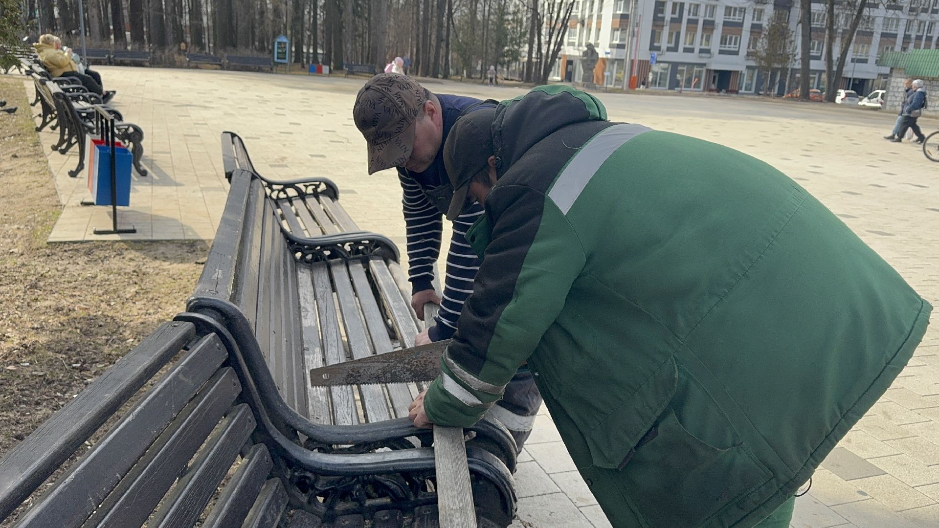 солнечногорск, городской парк, уборка територии, жители, опиловка деревьев,