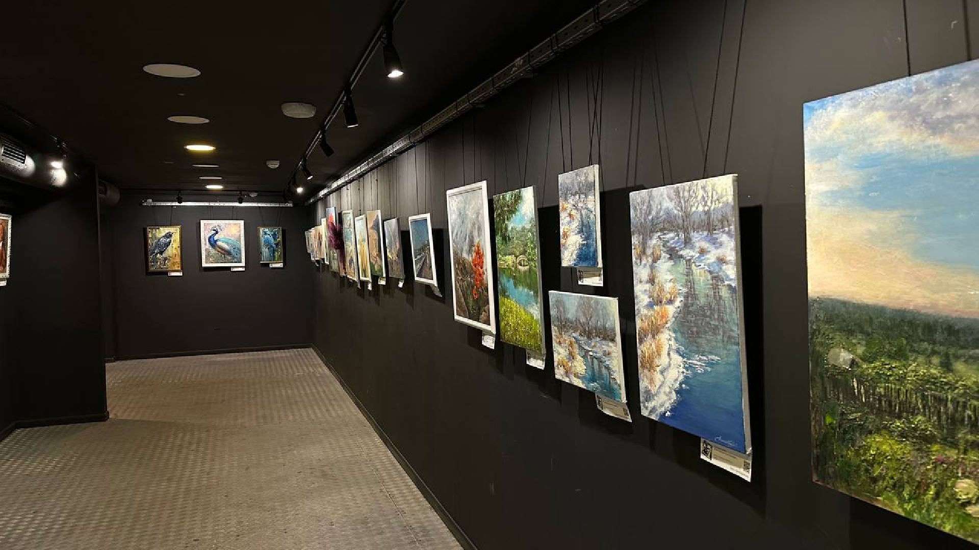 художественная выставка, домодедово,