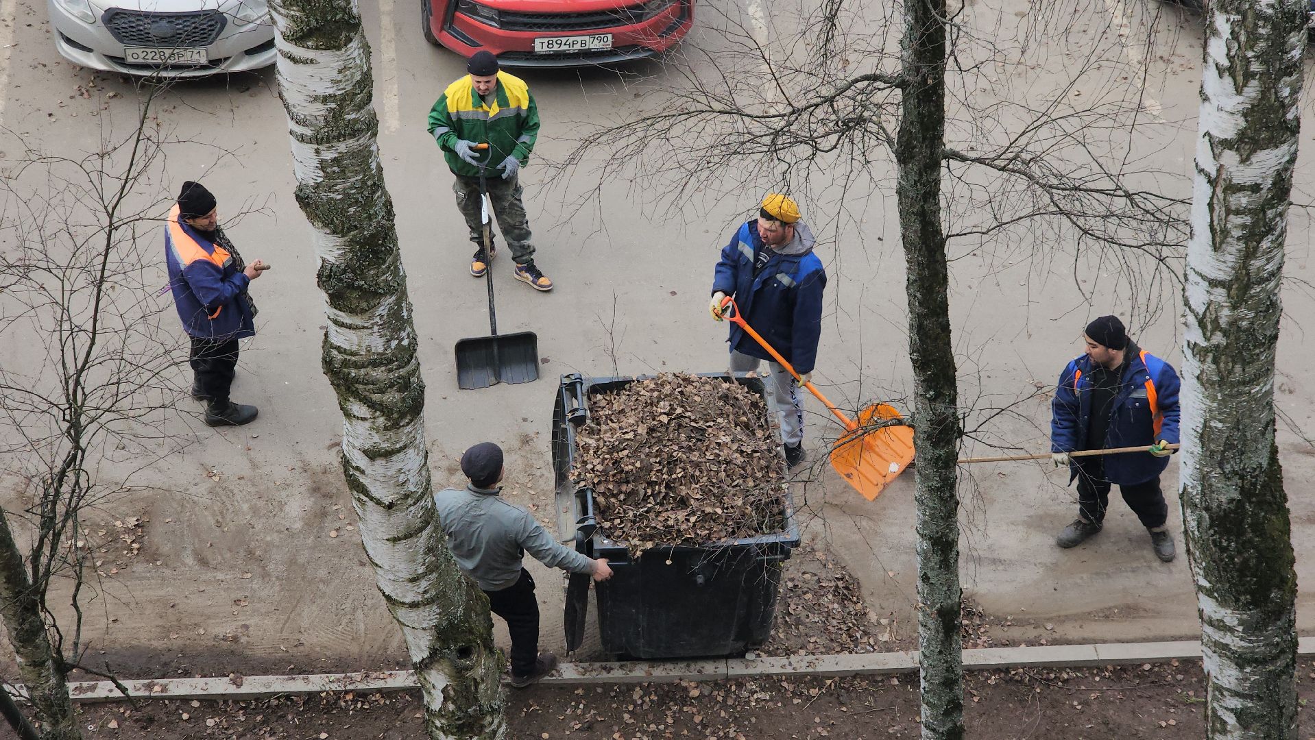 пушкино, уборка листвы, коммунальная служба, рабочие, дворовые территории,вертикалки,