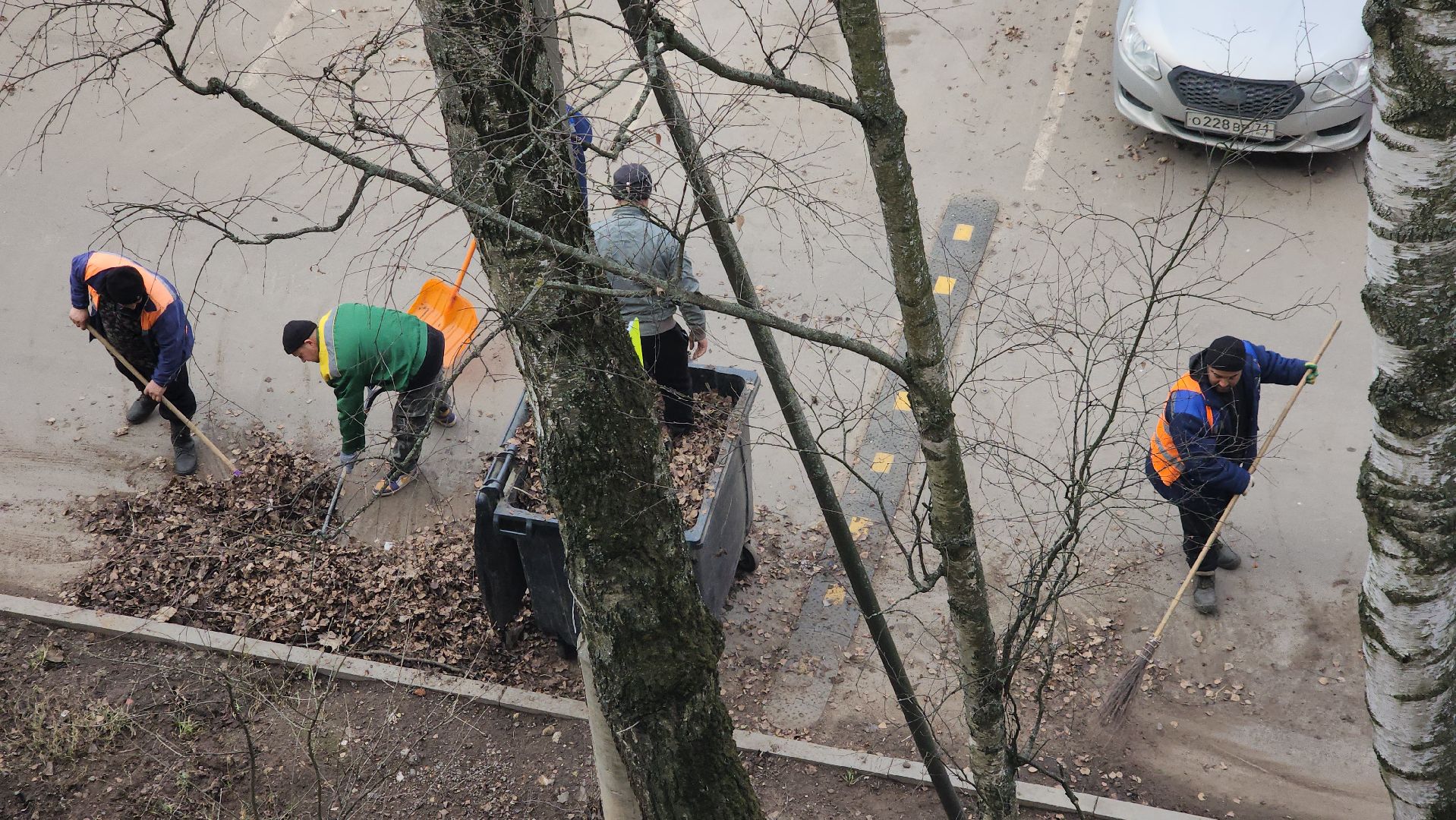 пушкино, уборка листвы, коммунальная служба, рабочие, дворовые территории,вертикалки,