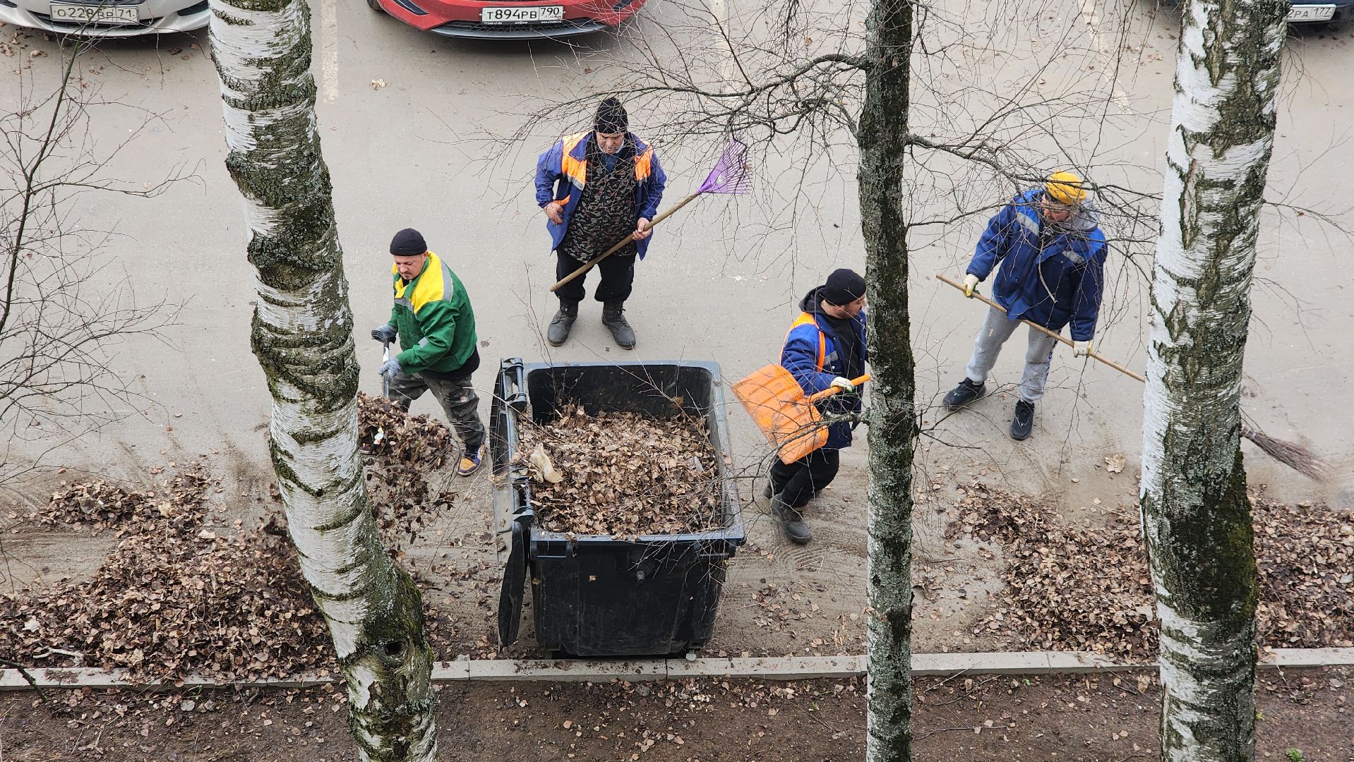 пушкино, уборка листвы, коммунальная служба, рабочие, дворовые территории,вертикалки,