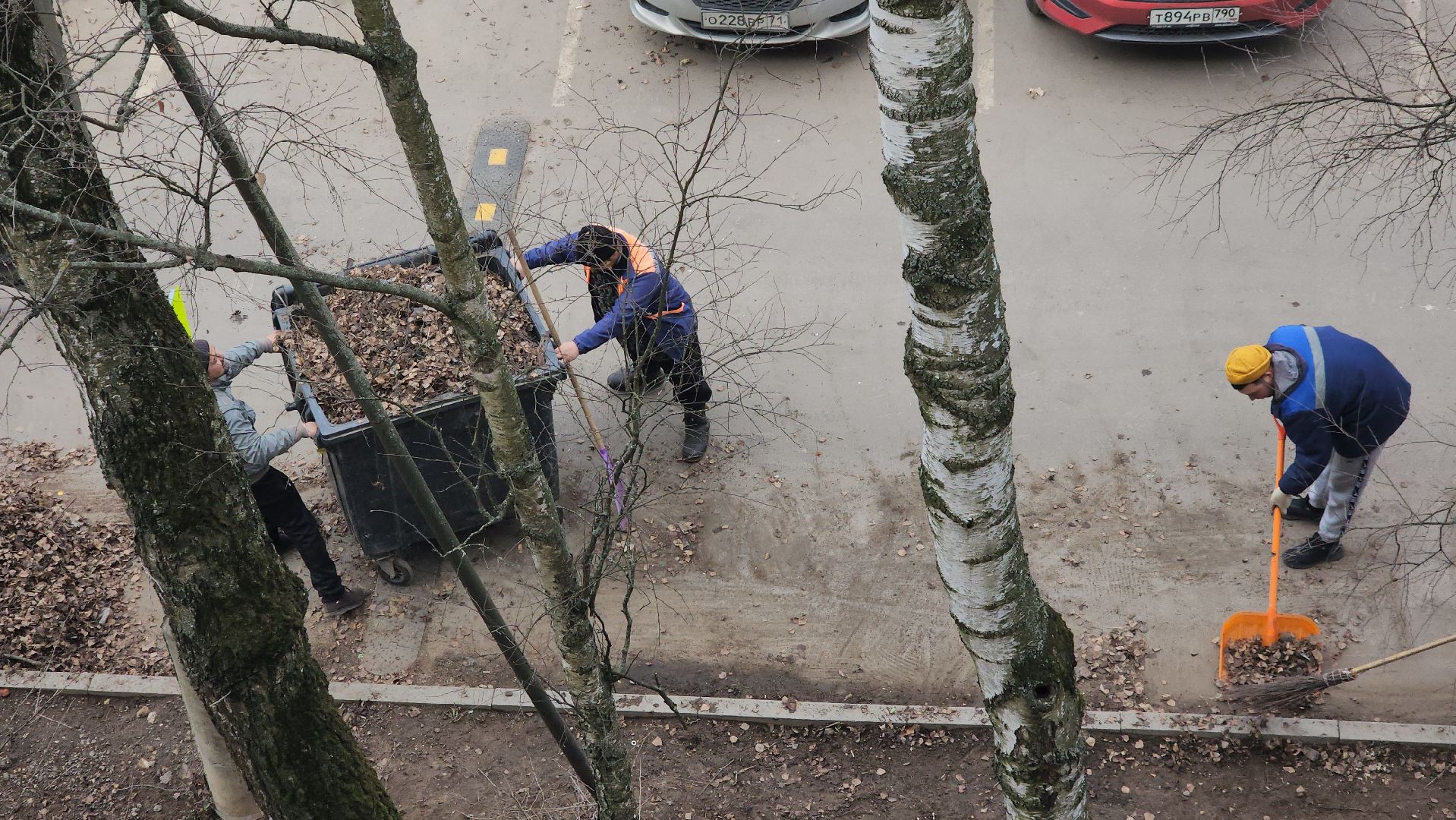 пушкино, уборка листвы, коммунальная служба, рабочие, дворовые территории,вертикалки,