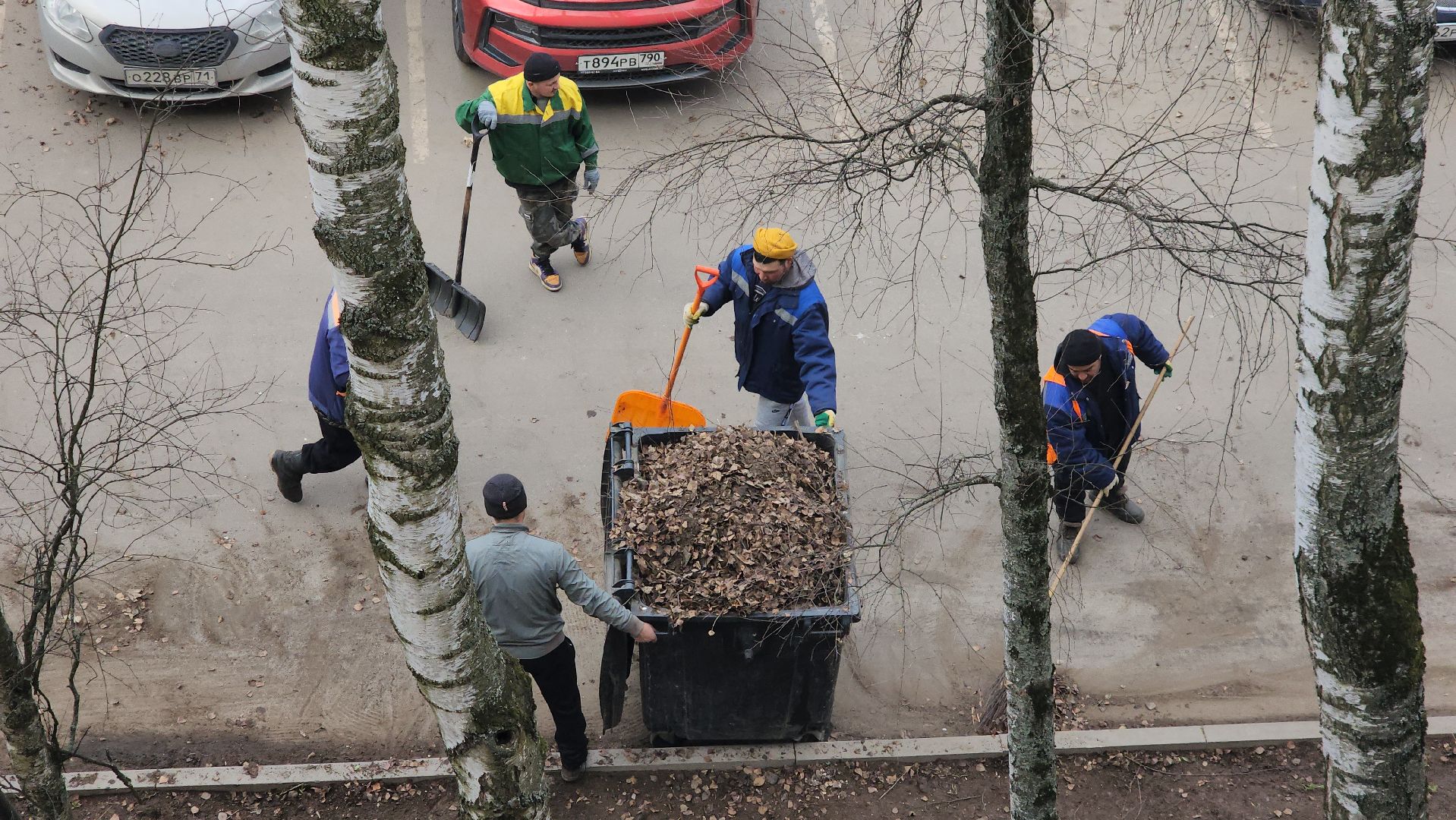 пушкино, уборка листвы, коммунальная служба, рабочие, дворовые территории,вертикалки,