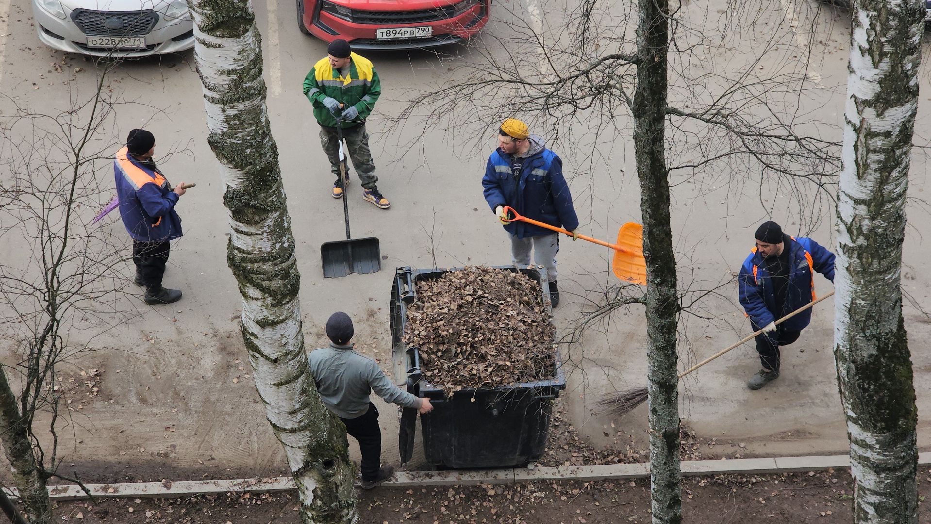 пушкино, уборка листвы, коммунальная служба, рабочие, дворовые территории,вертикалки,