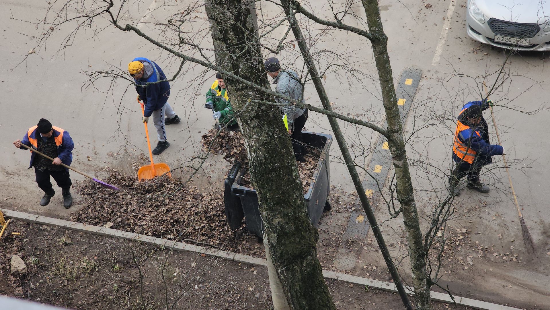 пушкино, уборка листвы, коммунальная служба, рабочие, дворовые территории,вертикалки,