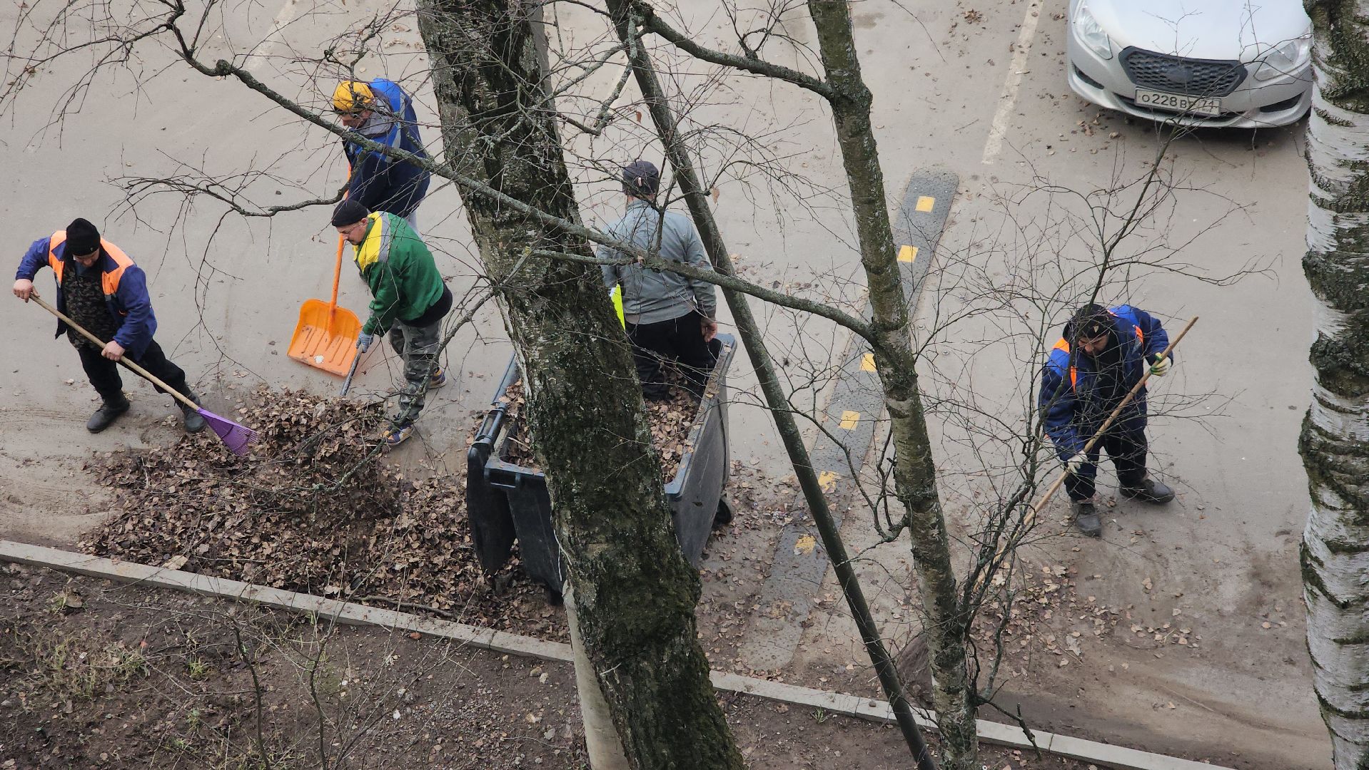 пушкино, уборка листвы, коммунальная служба, рабочие, дворовые территории,вертикалки,