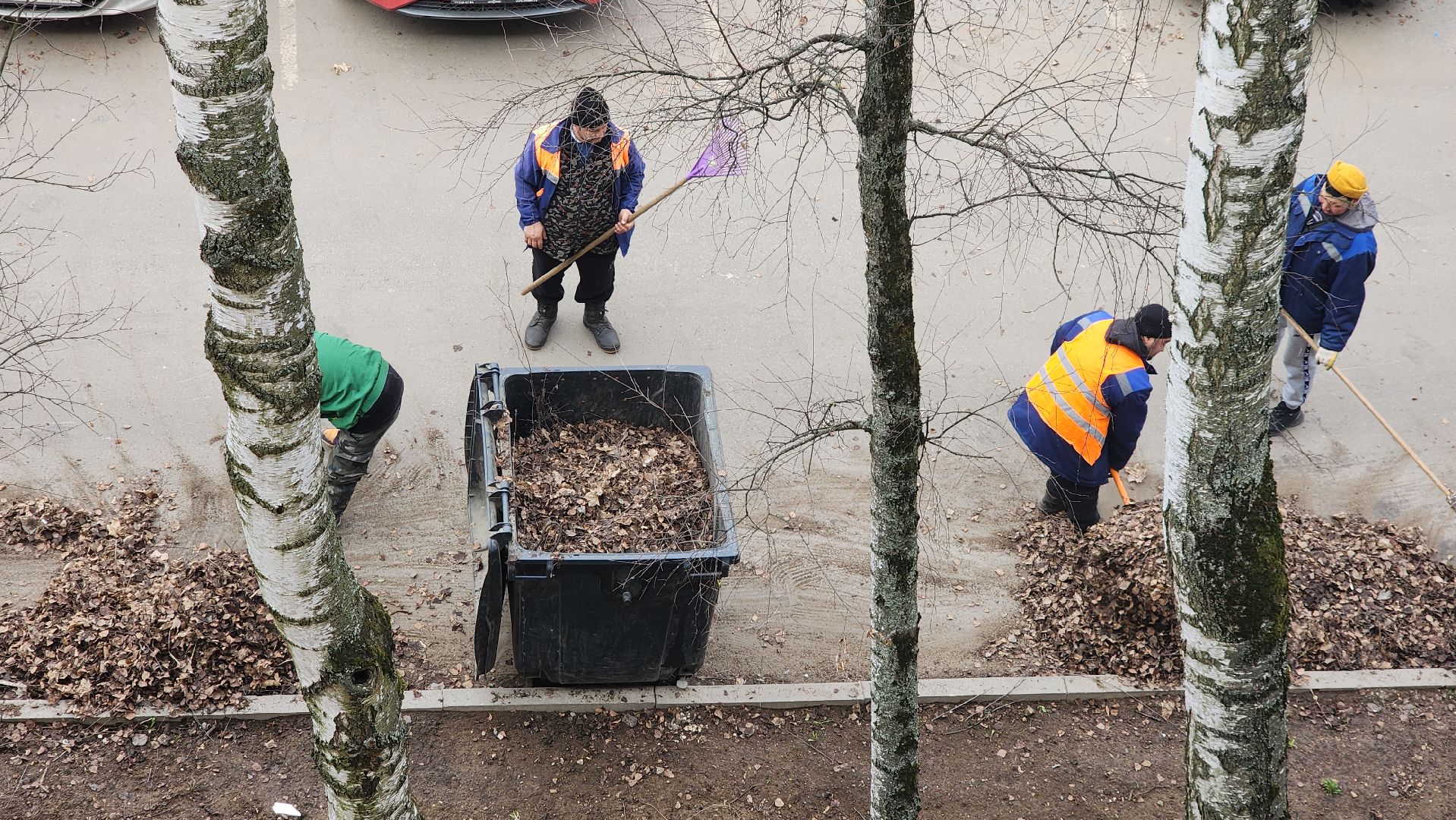 пушкино, уборка листвы, коммунальная служба, рабочие, дворовые территории,вертикалки,