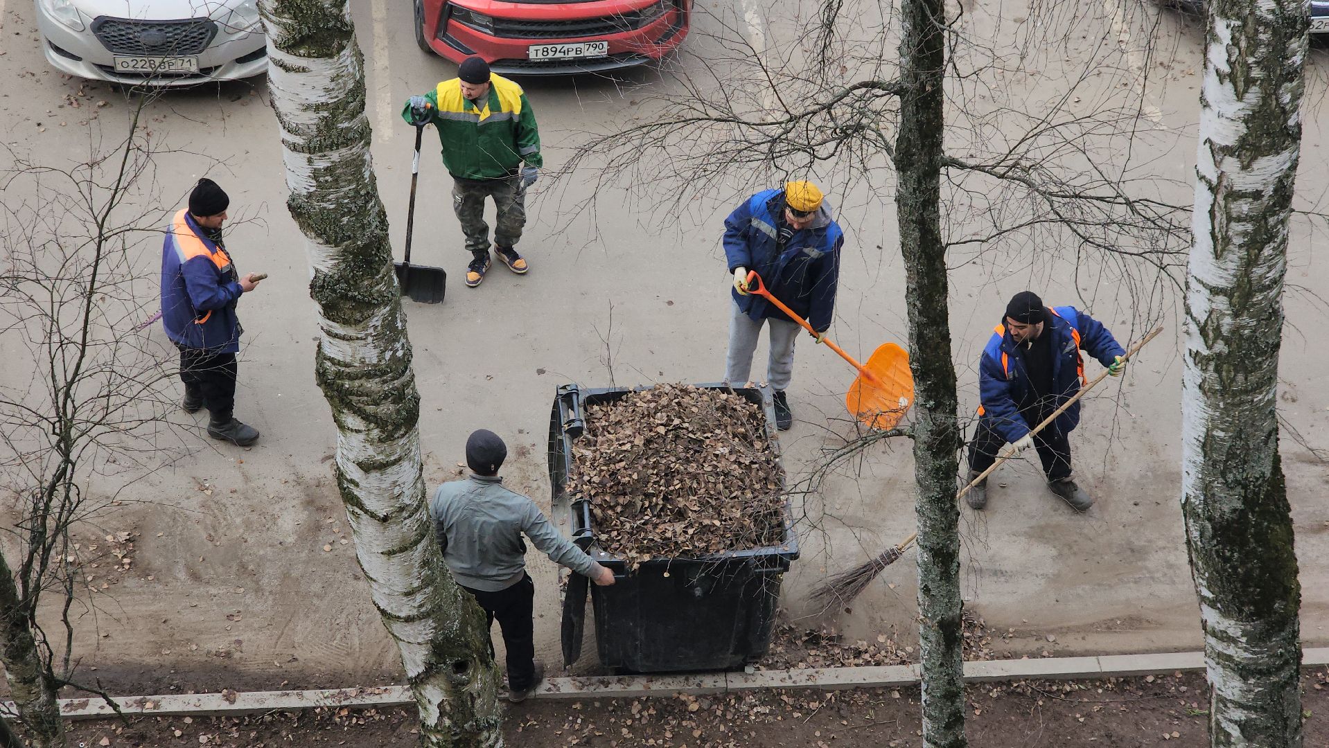 пушкино, уборка листвы, коммунальная служба, рабочие, дворовые территории,вертикалки,