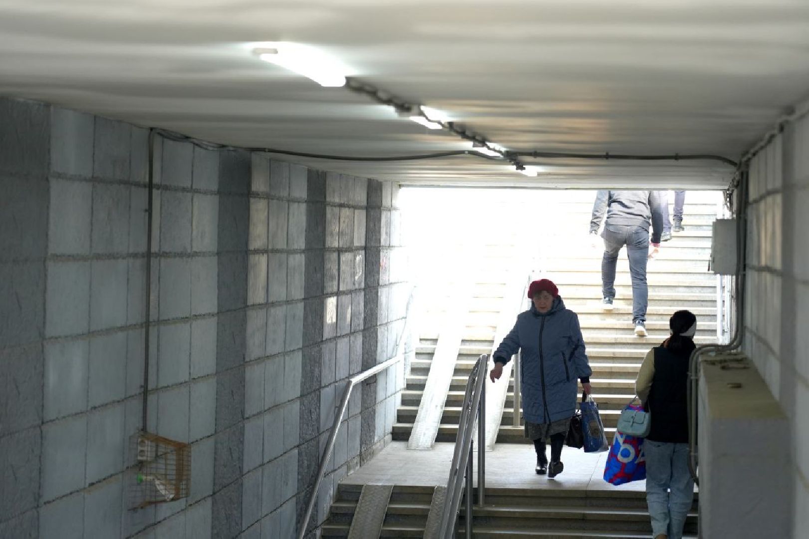 вандализм, сергиев посад, благоустройство, сергиево-посадский городской округ,