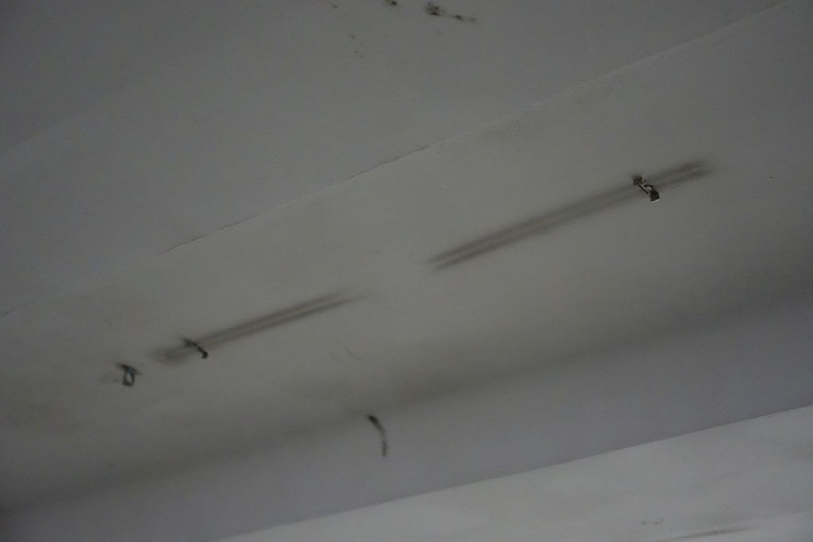 вандализм, сергиев посад, благоустройство, сергиево-посадский городской округ,