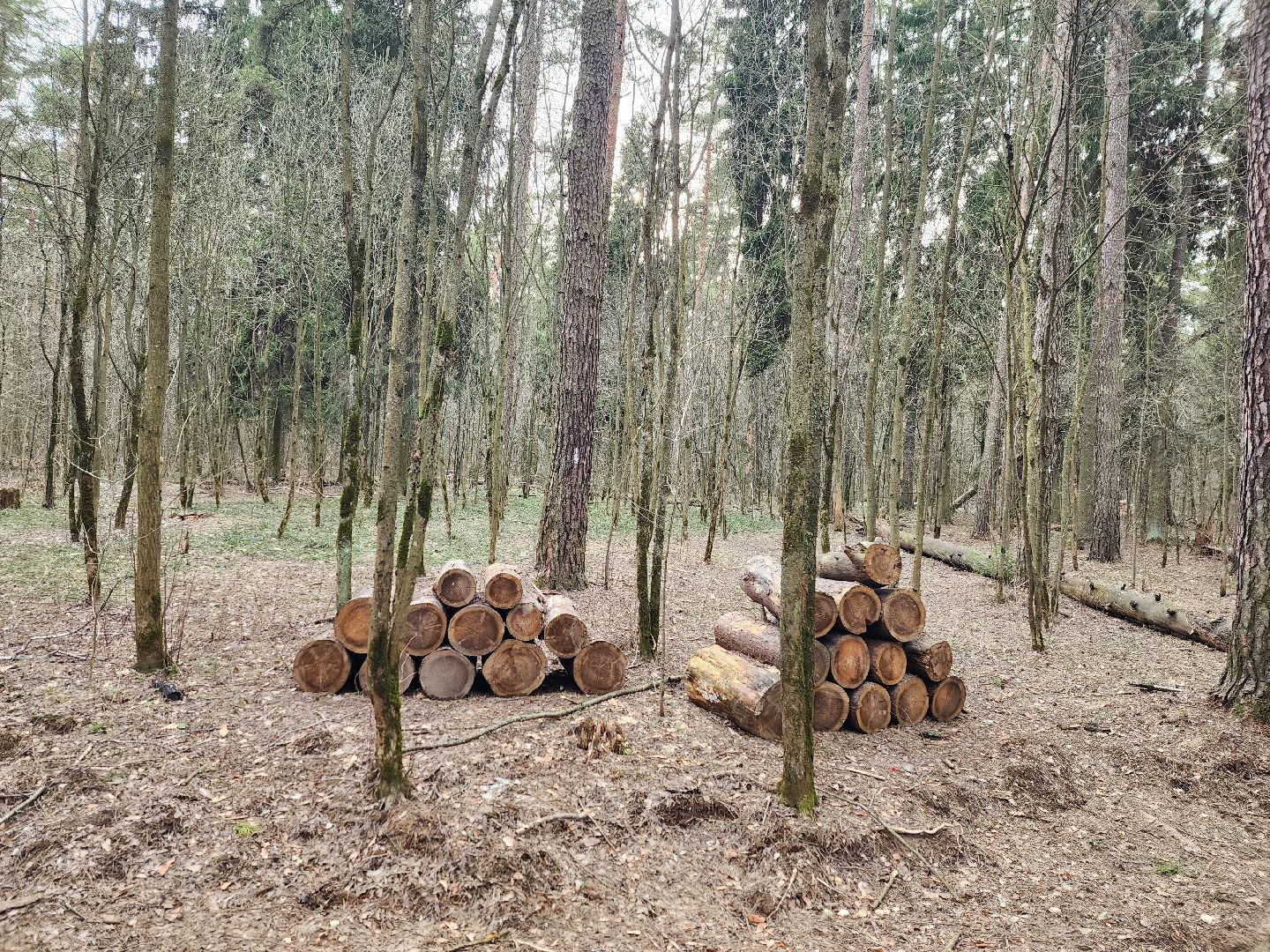 пушкино, благоустройство, губернатор мо, андрей воробьёв, парки го пушкинский,