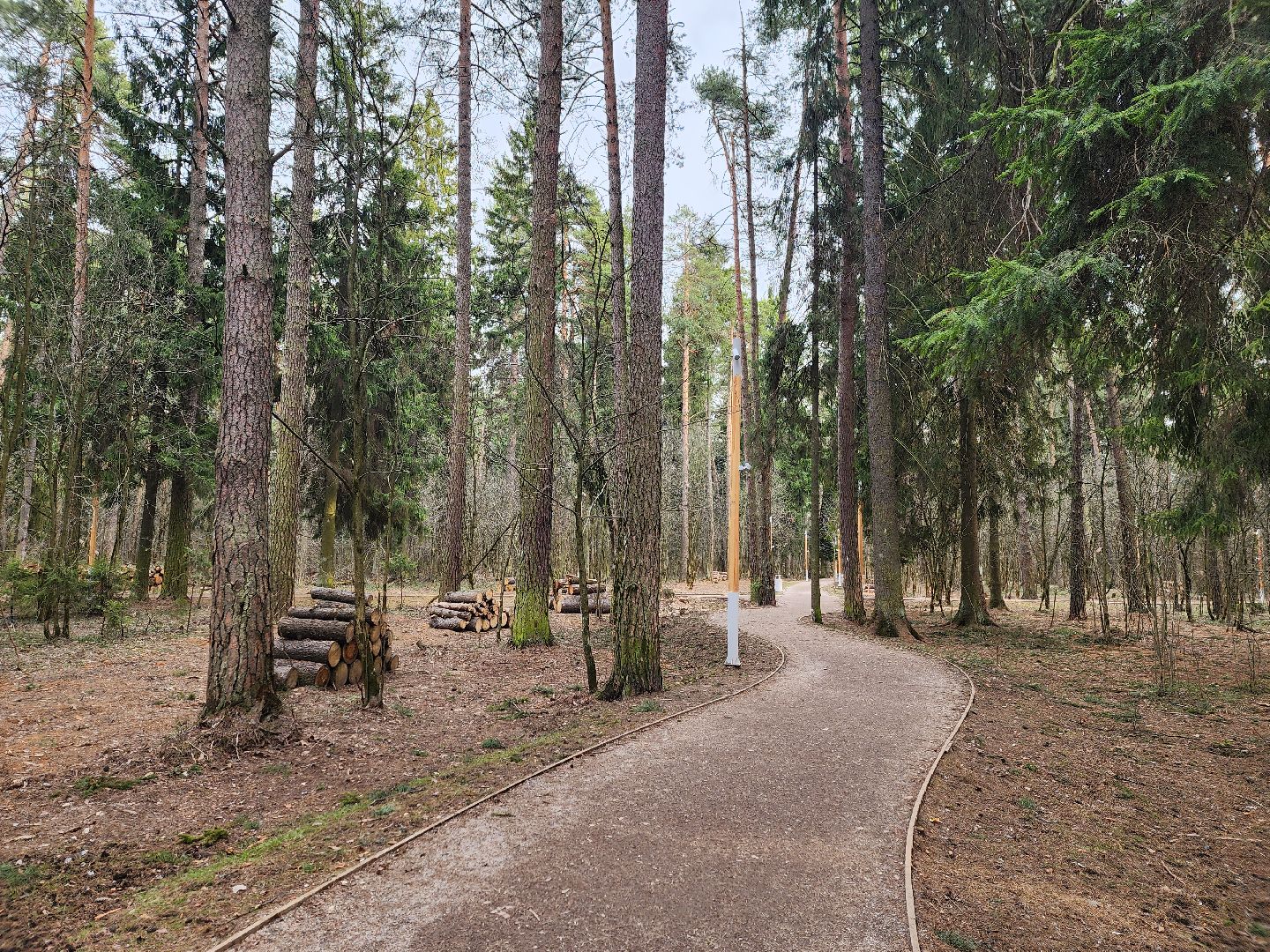 пушкино, благоустройство, губернатор мо, андрей воробьёв, парки го пушкинский,