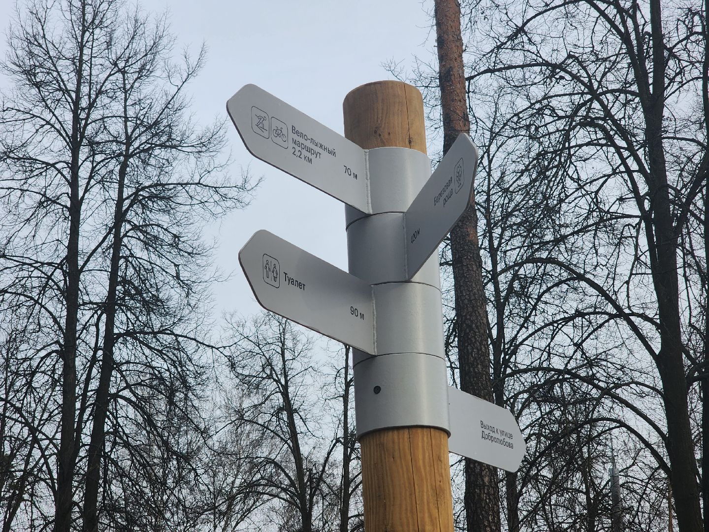 пушкино, благоустройство, губернатор мо, андрей воробьёв, парки го пушкинский,