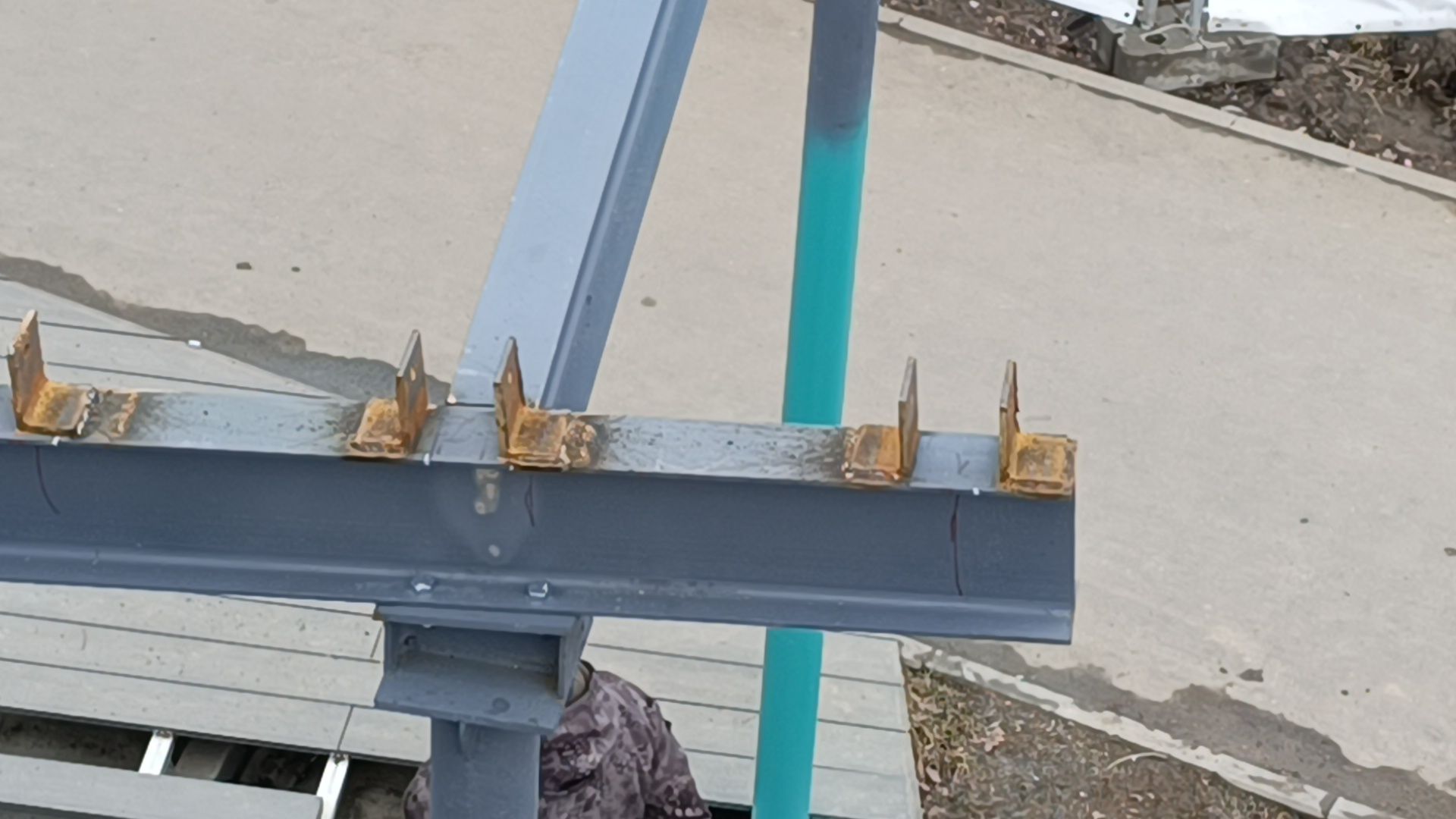 лобня, кафе, парк,