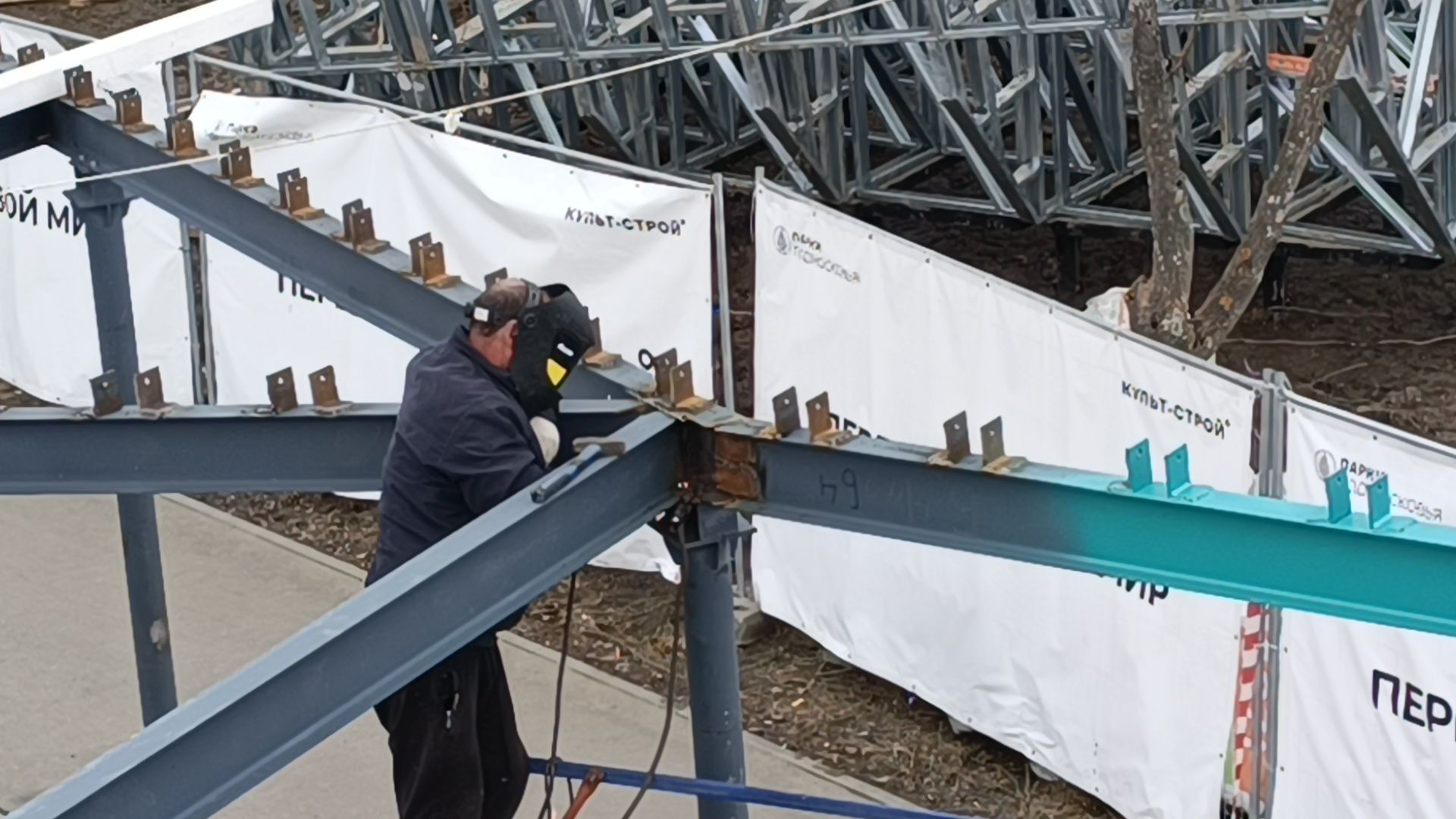 лобня, кафе, парк,