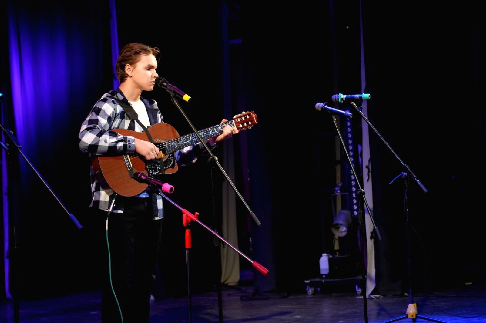 культура, журавлиная родина, сергиев посад, авторская песня, бардовская песня, сергиево-посадский городской округ,