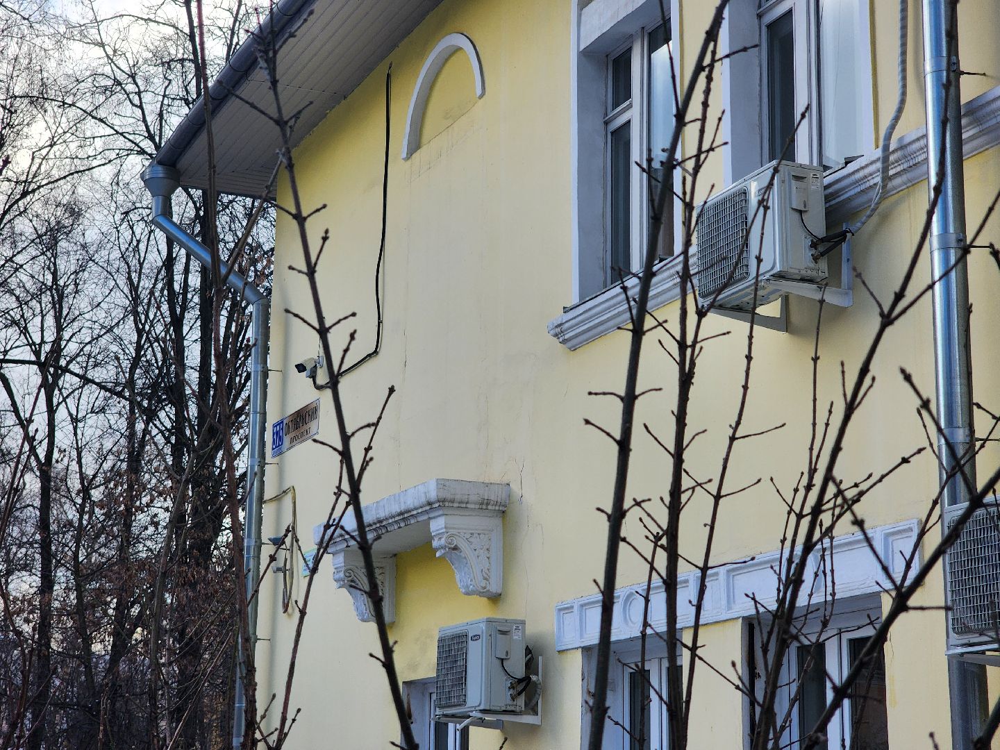 инвалидность, адаптивная физкультура, фокси, спорт,