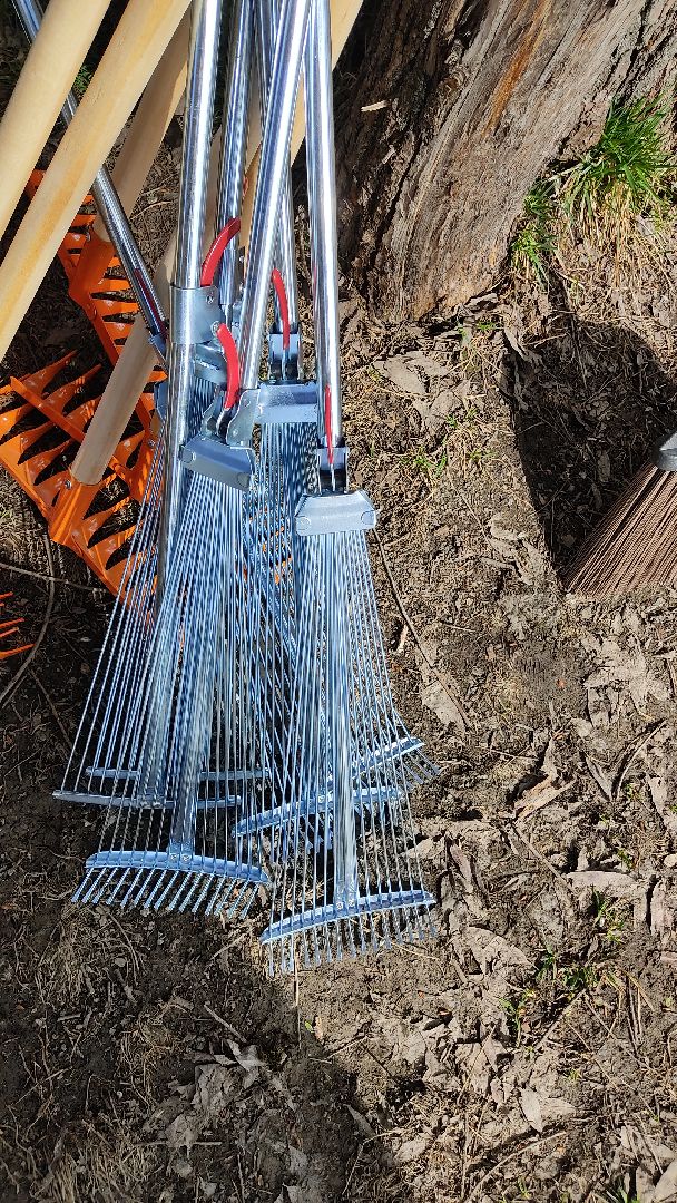 Лобня, субботник, благоустройство