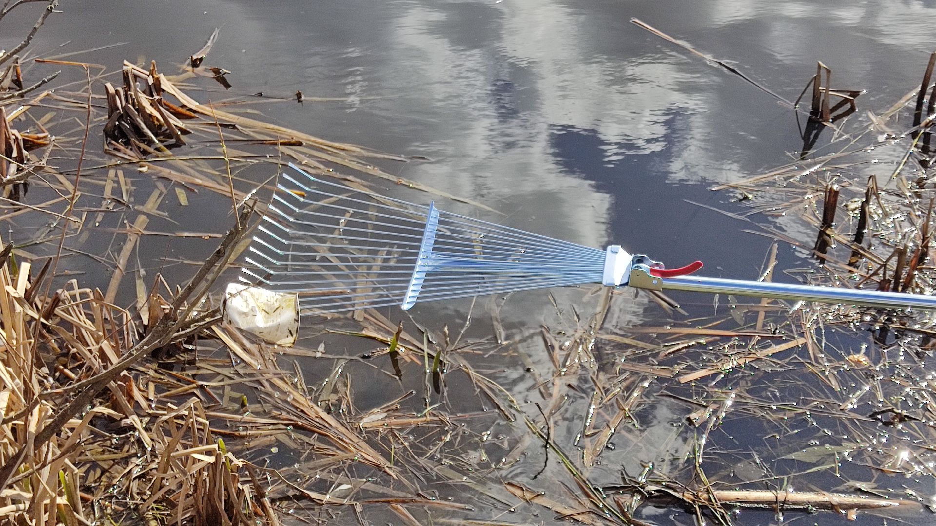 Лобня, субботник, благоустройство