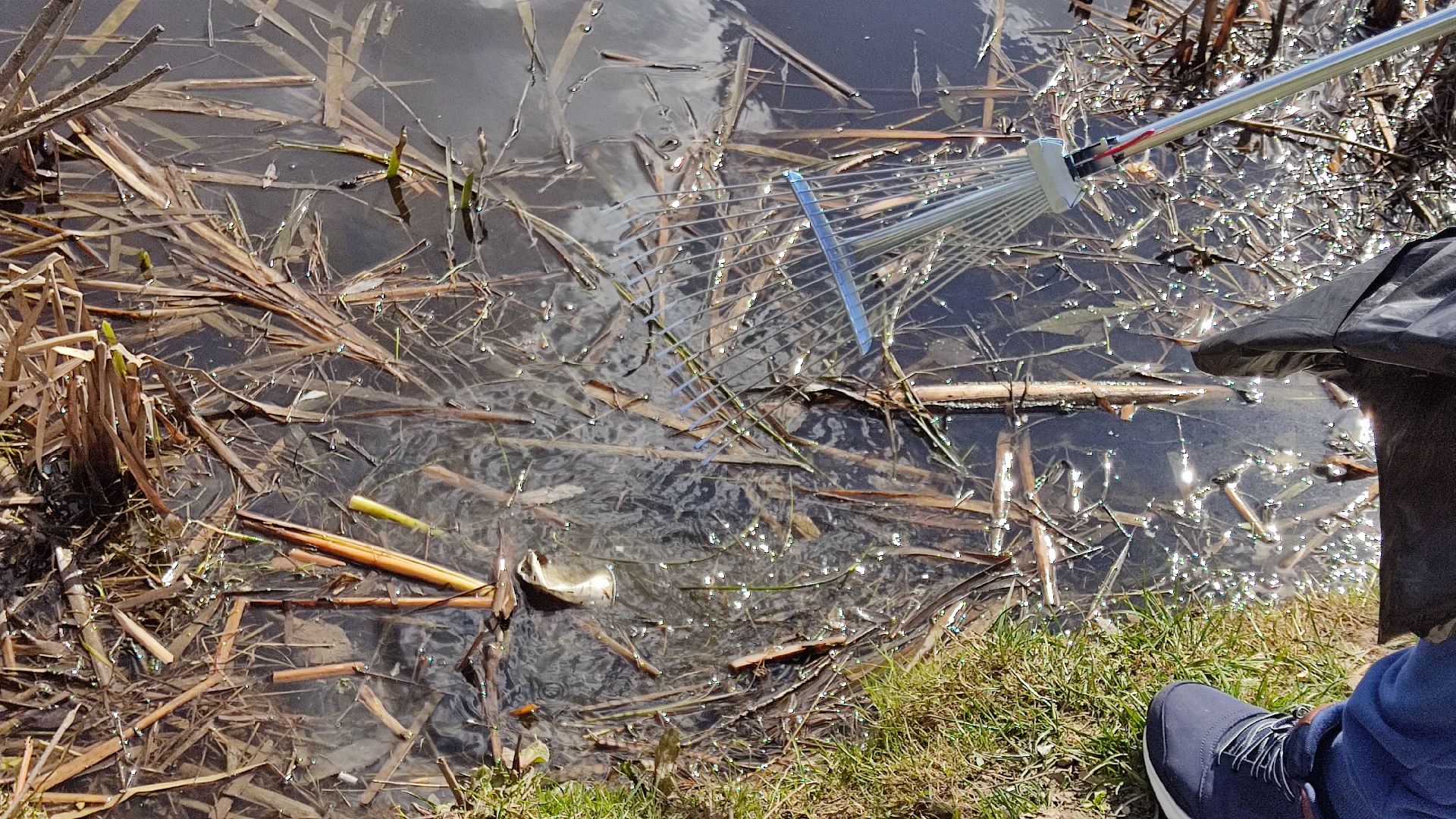 Лобня, субботник, благоустройство