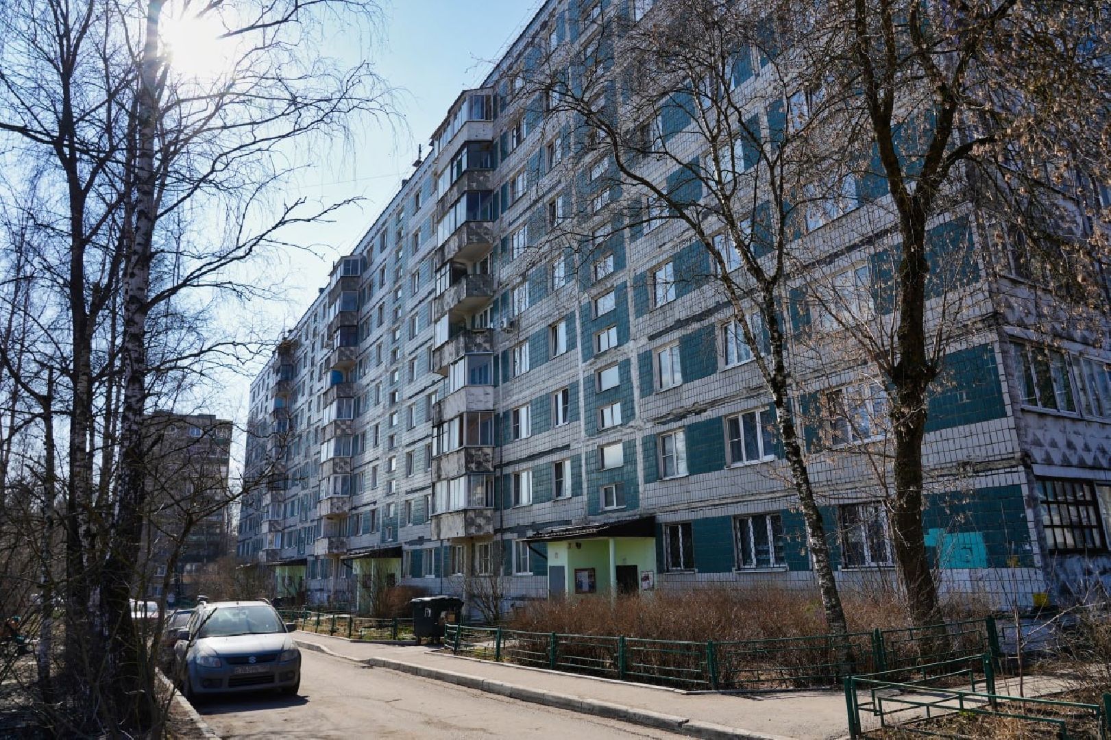 подснежники, природа, сергиев посад, сергиево-посадский городской округ, красота, цветы, весна,