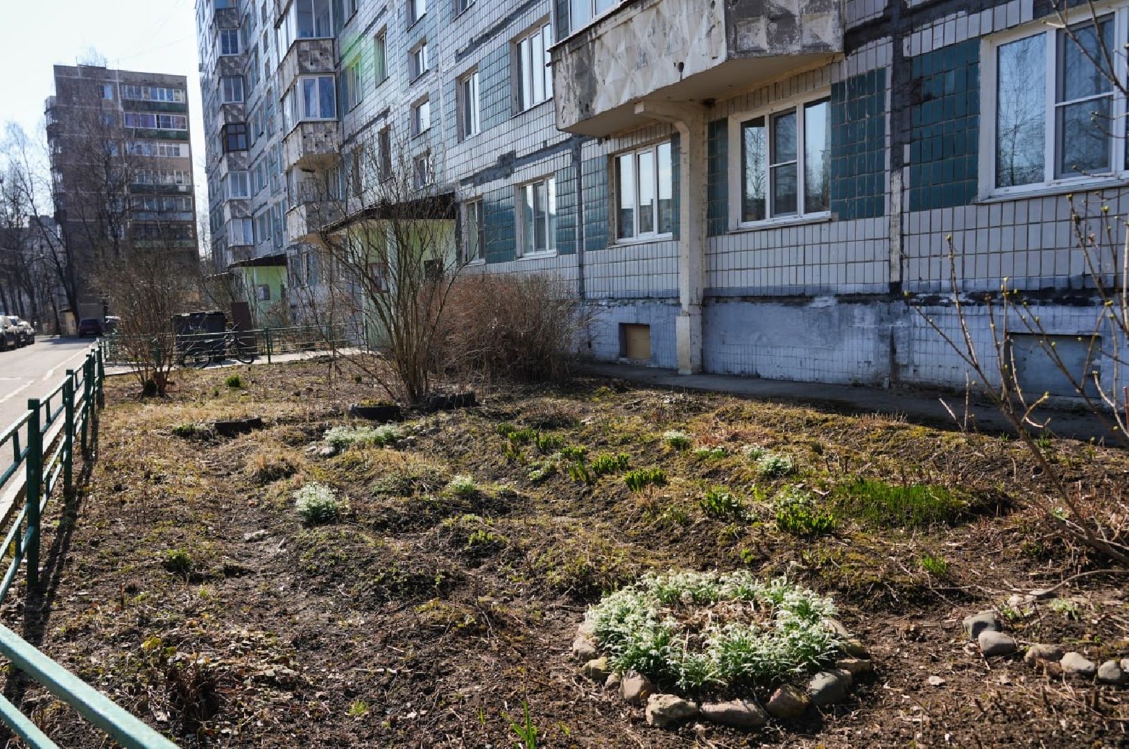 подснежники, природа, сергиев посад, сергиево-посадский городской округ, красота, цветы, весна,