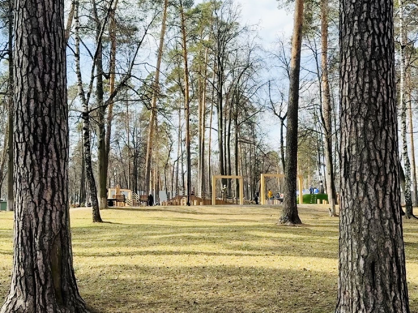 раменское, городской парк, первоцветы,благоустройство,