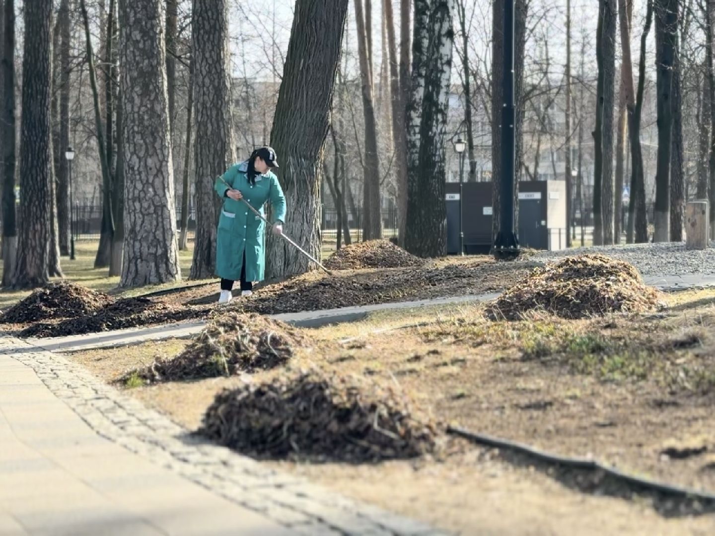 раменское, городской парк, первоцветы,благоустройство,