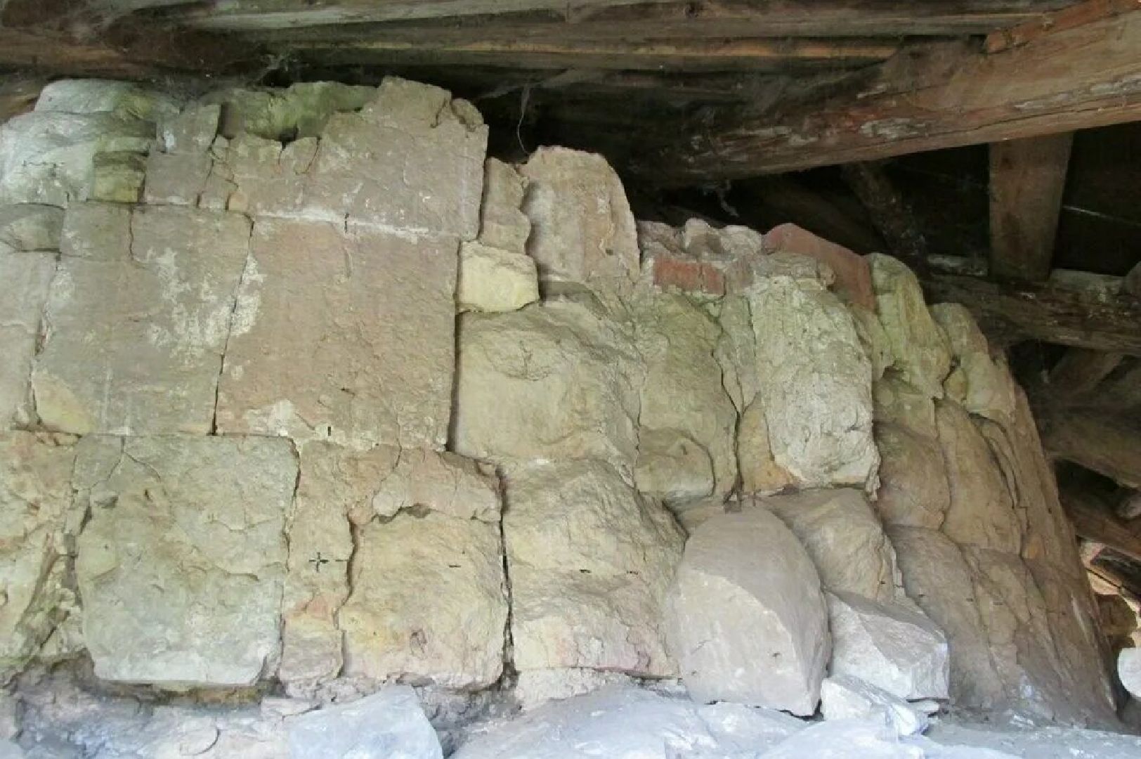 Звенигород, музей, Птичий архив, мастер-класс