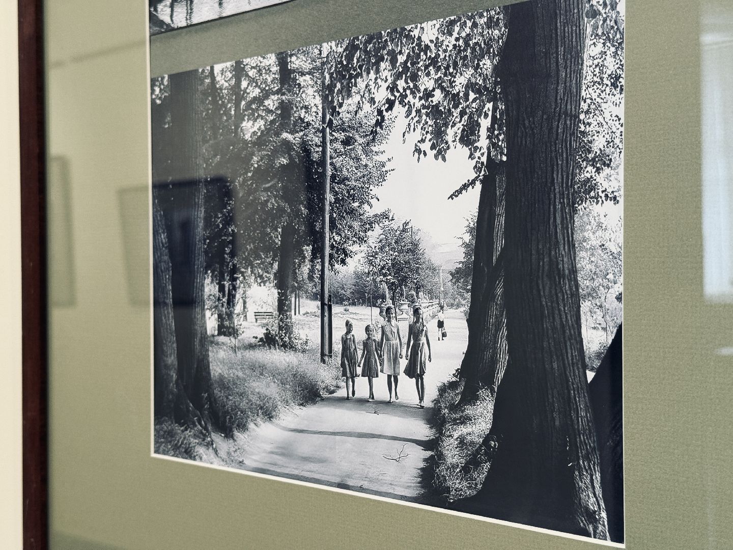 раменское, музей, выставка, фотовыставка,