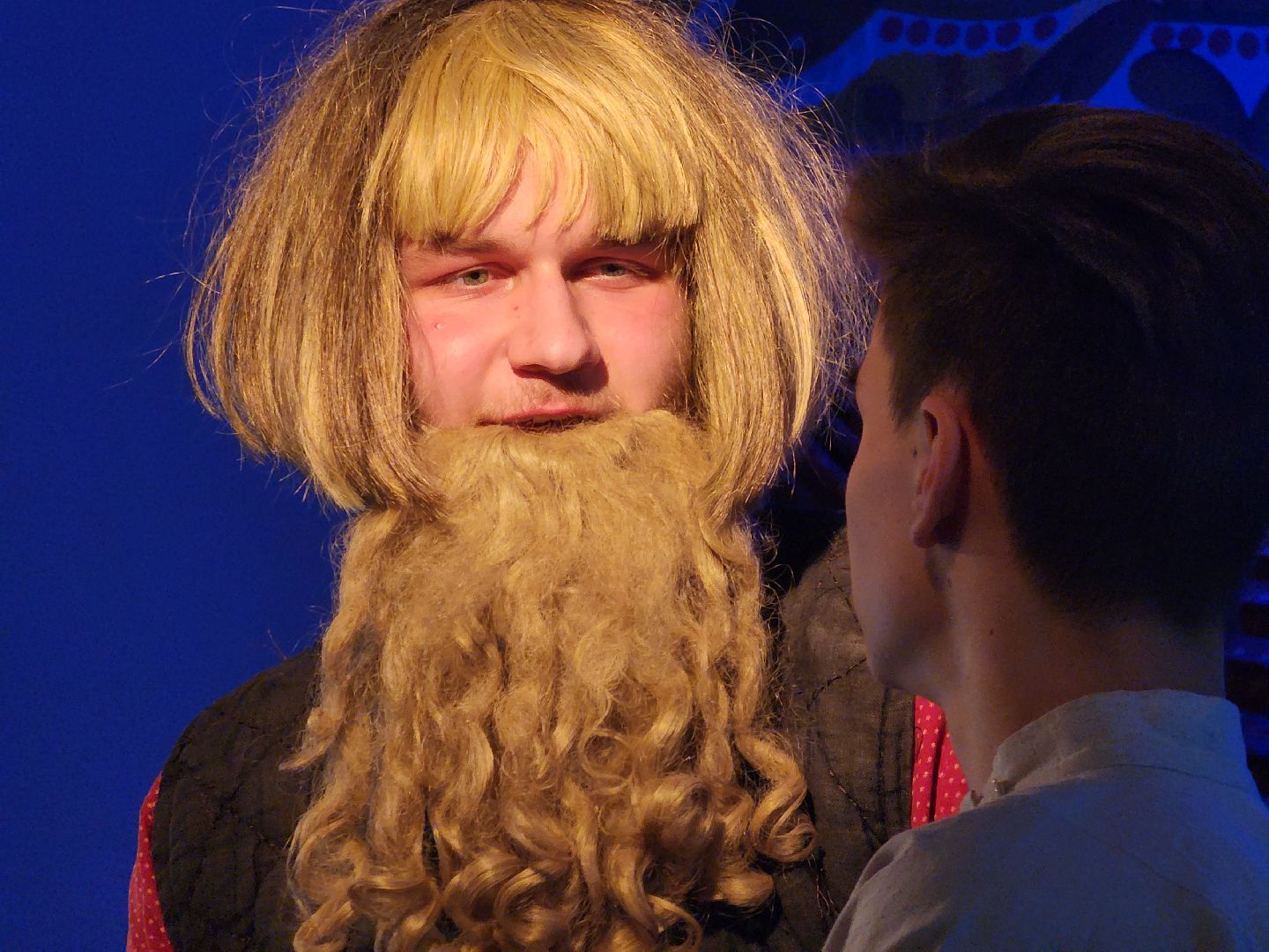 Егорьевск, Подмосковье, Московская область, Живые картины,