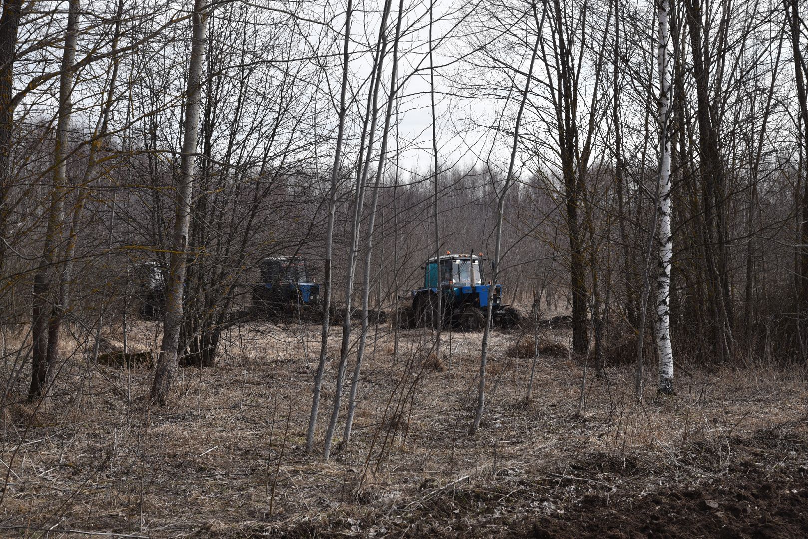 лотошино, благоустройство, опашка деревень, защита от пожаров,