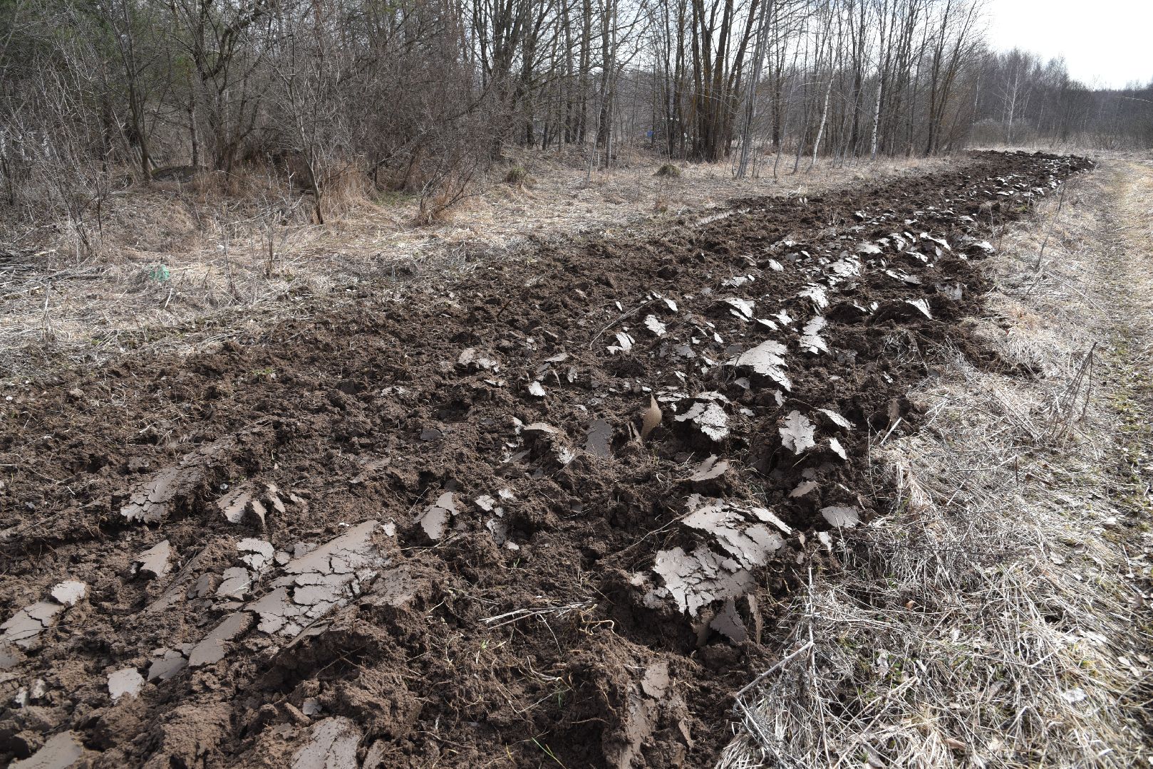 лотошино, благоустройство, опашка деревень, защита от пожаров,