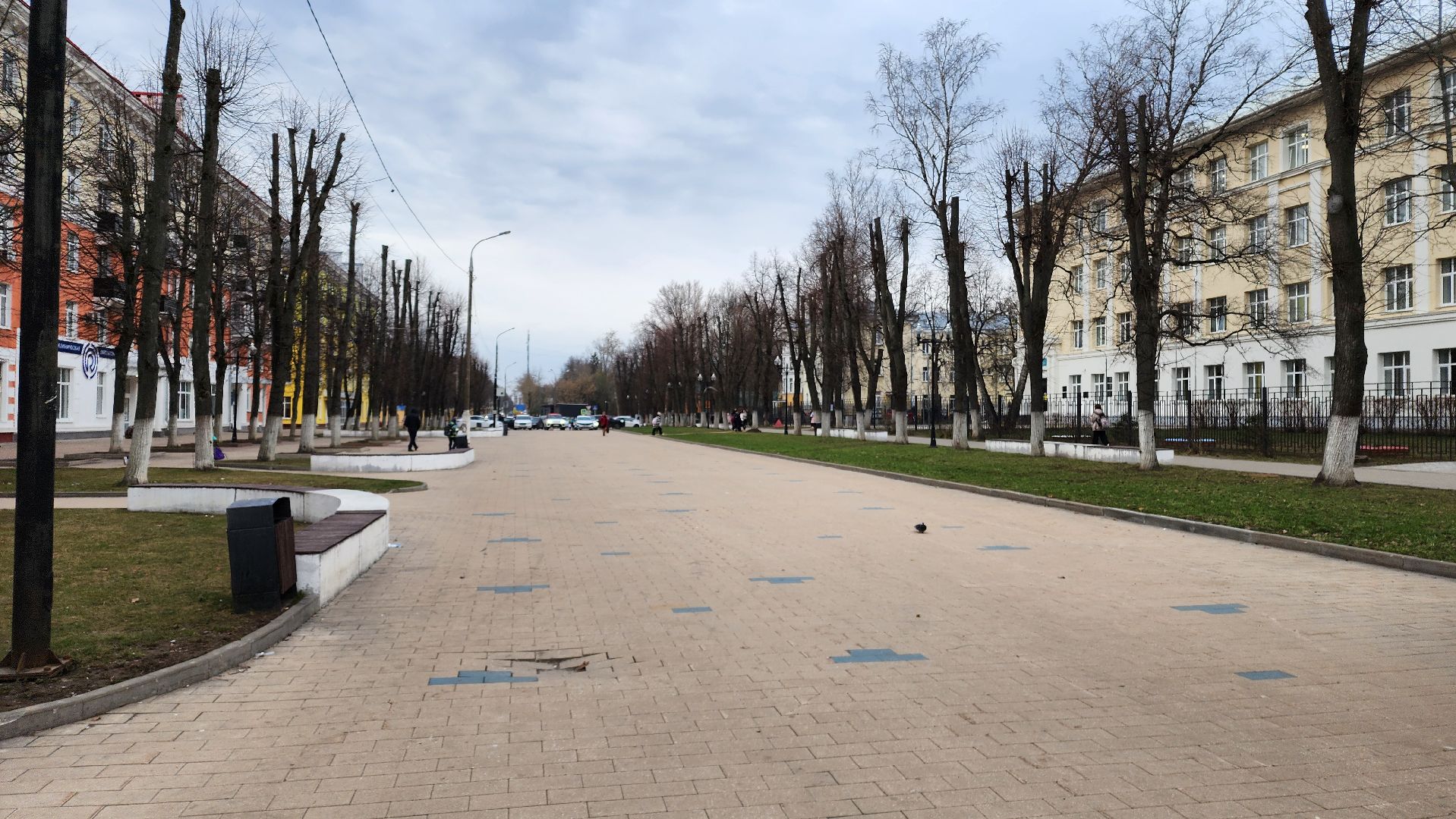 ступино, образование, первоклассники подмосковья,
