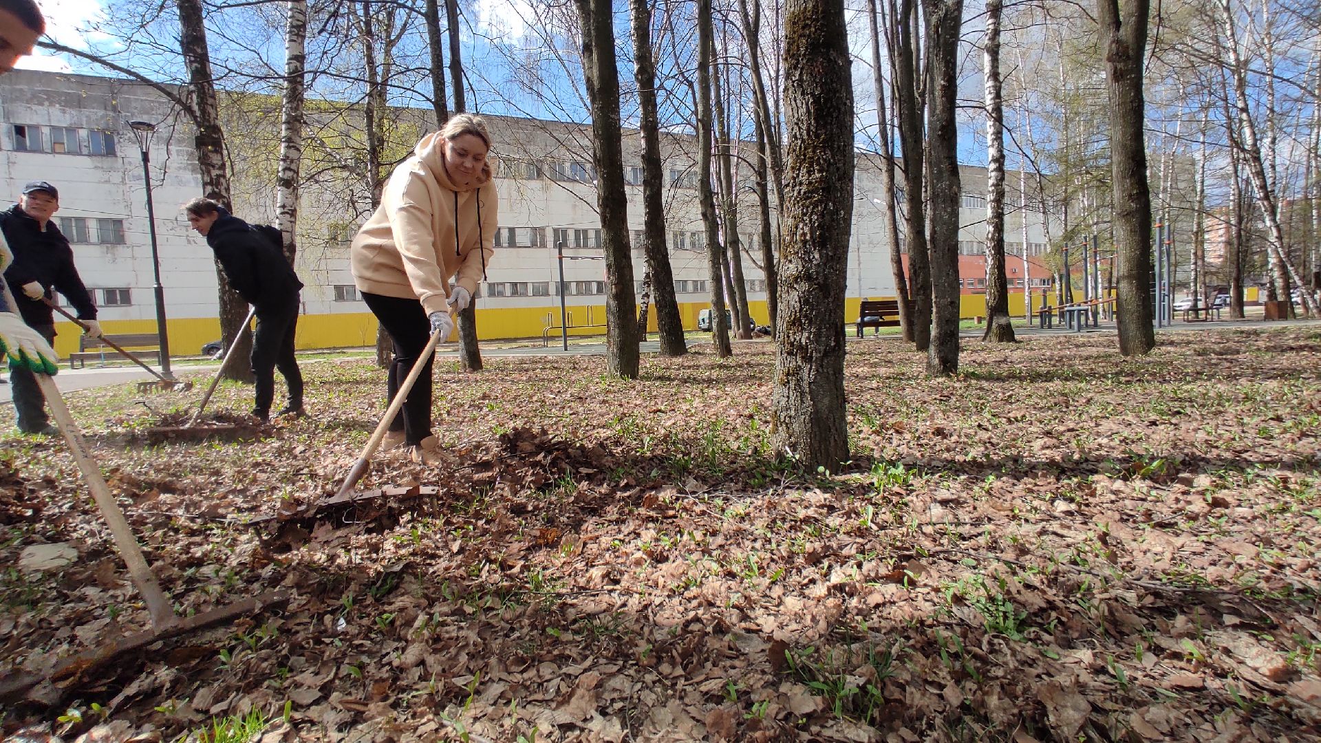 Лобня, благоустройство, субботник