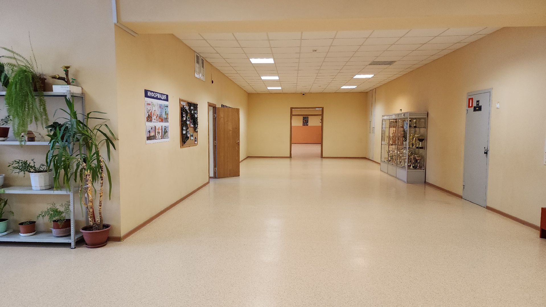 запись в школу, образование, начальная школа, Старая Купавна, Богородский городской округ,